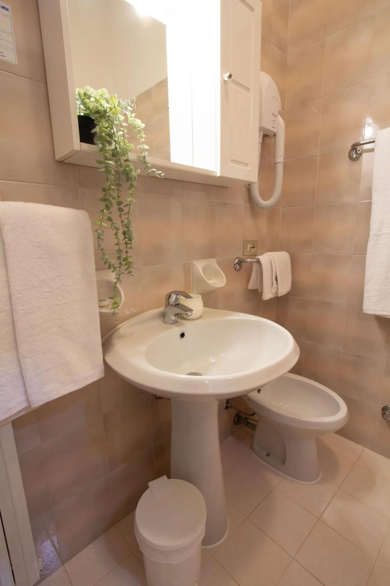 Hotel Benacus Torri del Benaco