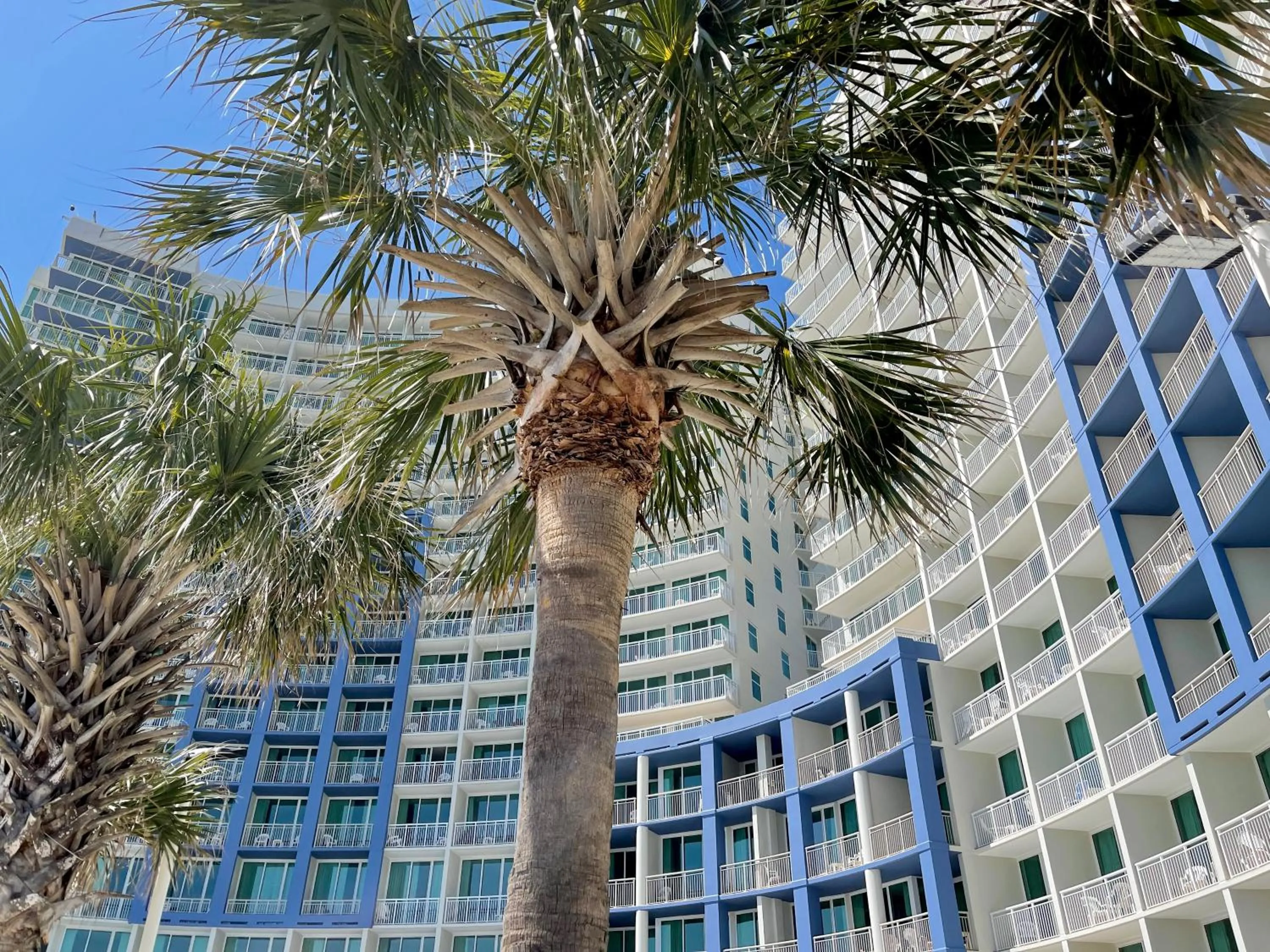 Property building in Avista Resort