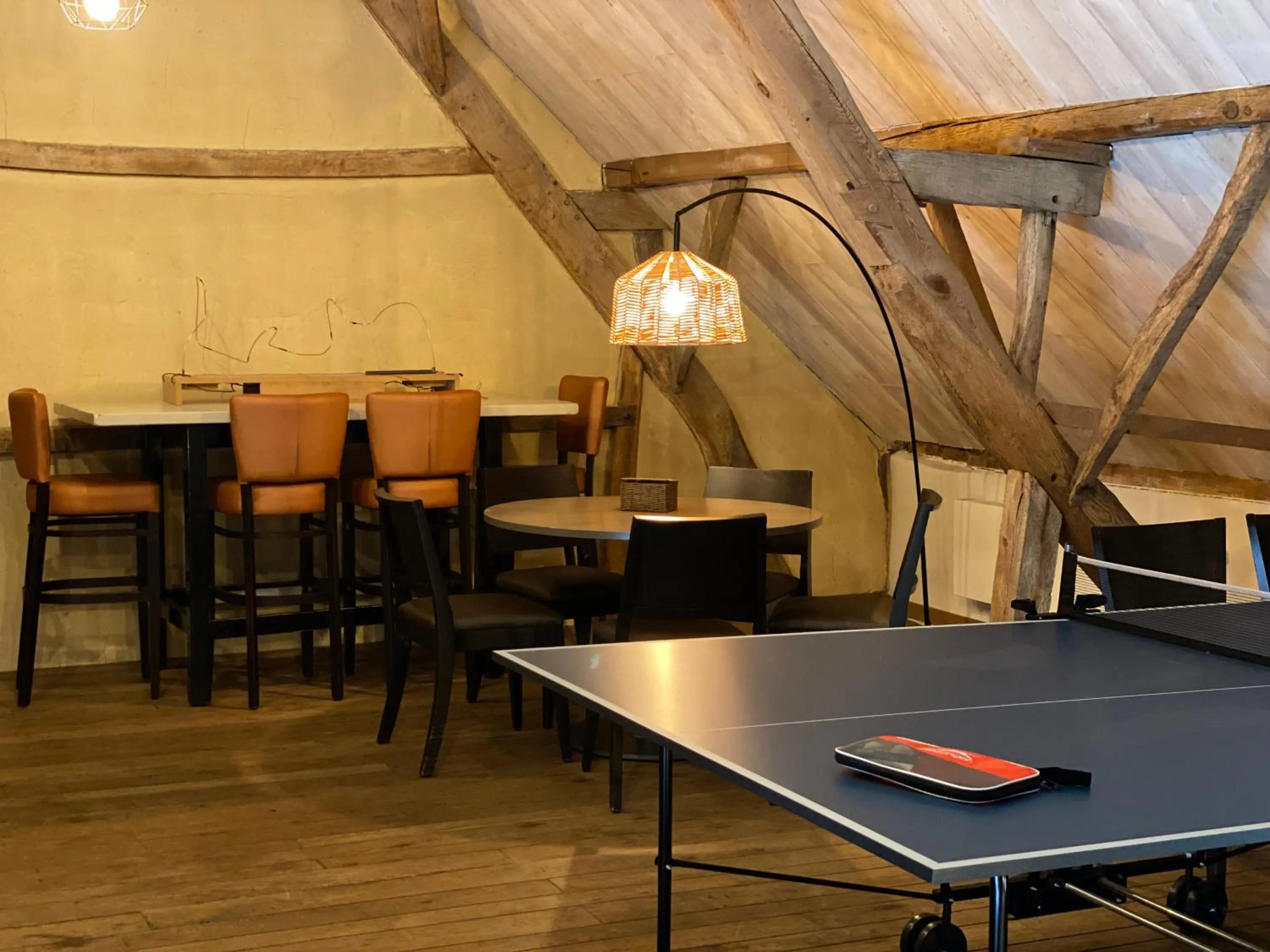 Game Room in Landgoed De Hoogmolen