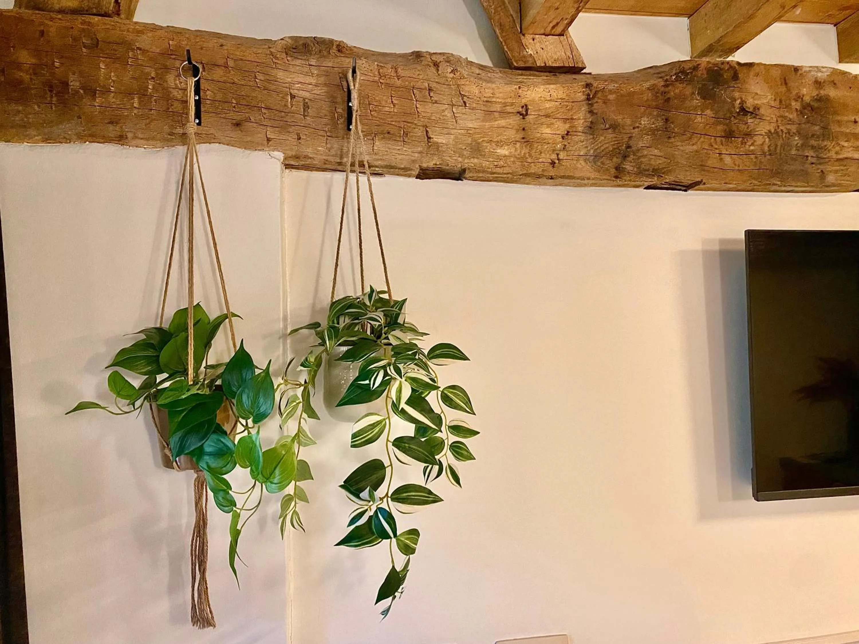 TV and multimedia in Landgoed De Hoogmolen