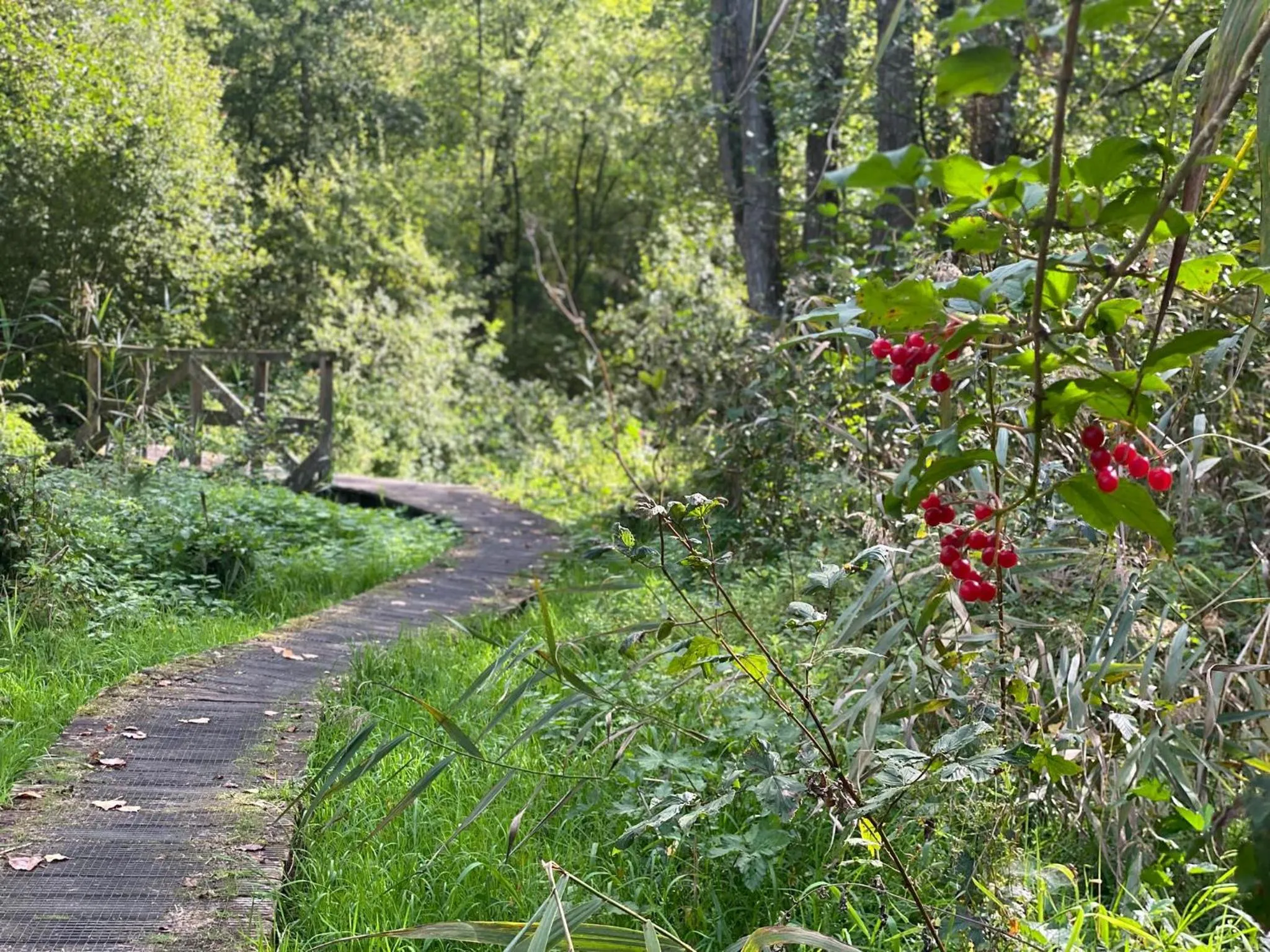 Landgoed De Hoogmolen