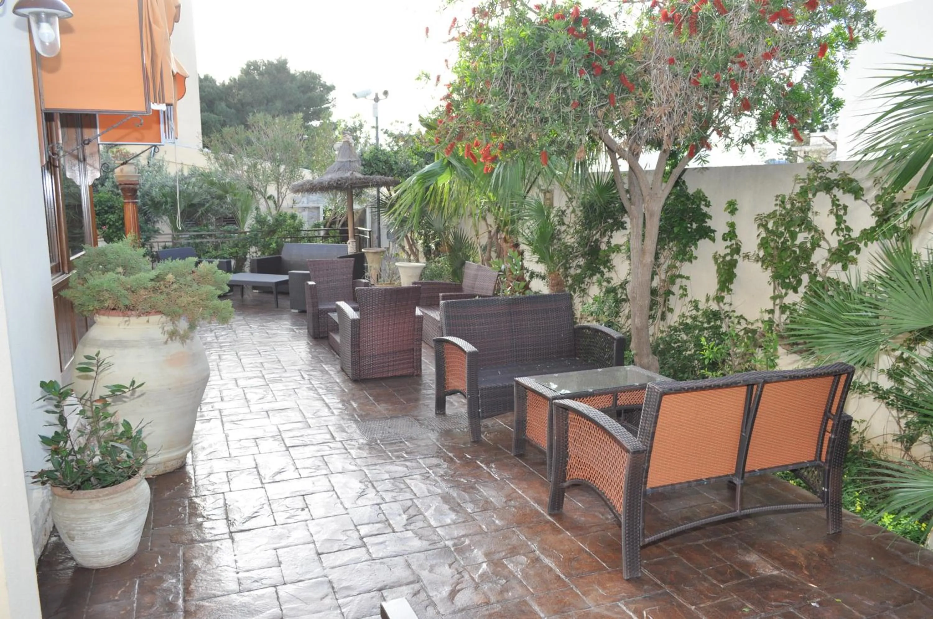 Patio in Krimar Hotel