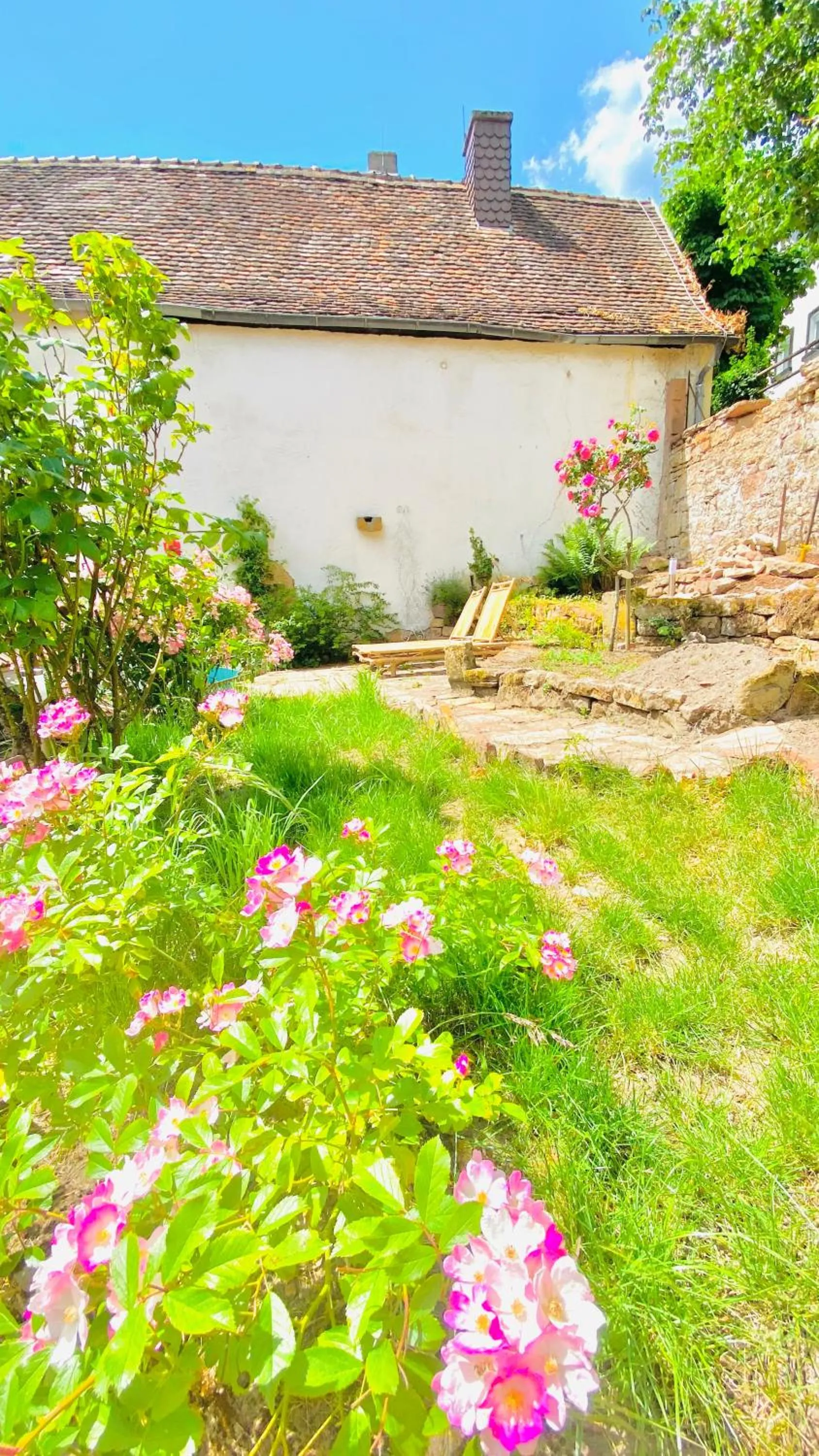 Garden in LANDHOTEL 1707 by Landgasthof Zickler