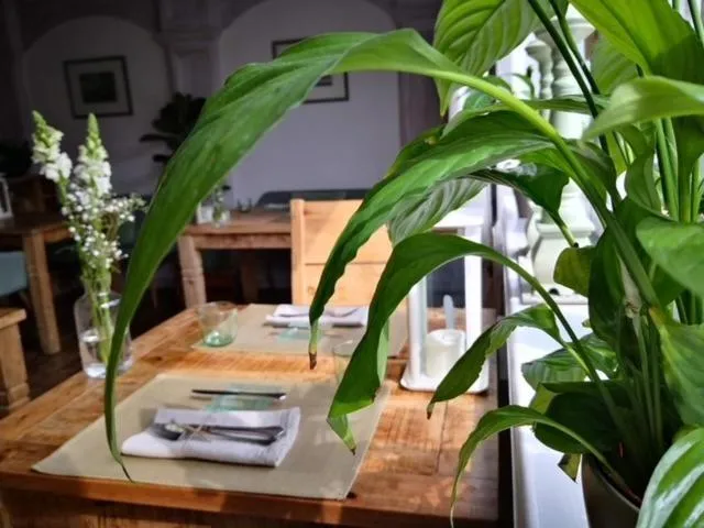 Restaurant/places to eat in LANDHOTEL 1707 by Landgasthof Zickler