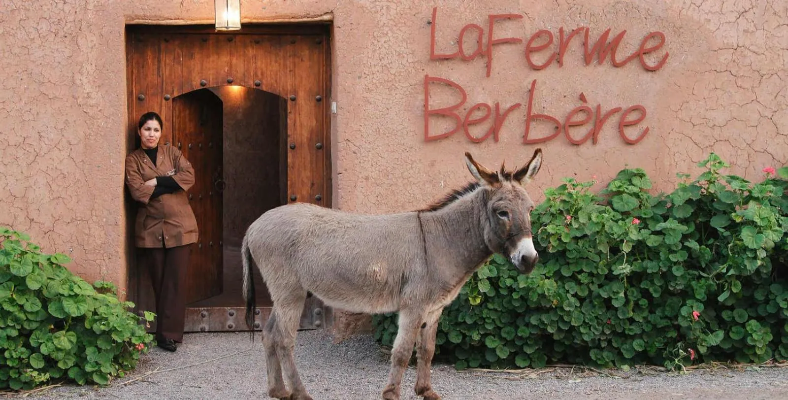 La Ferme Berbere