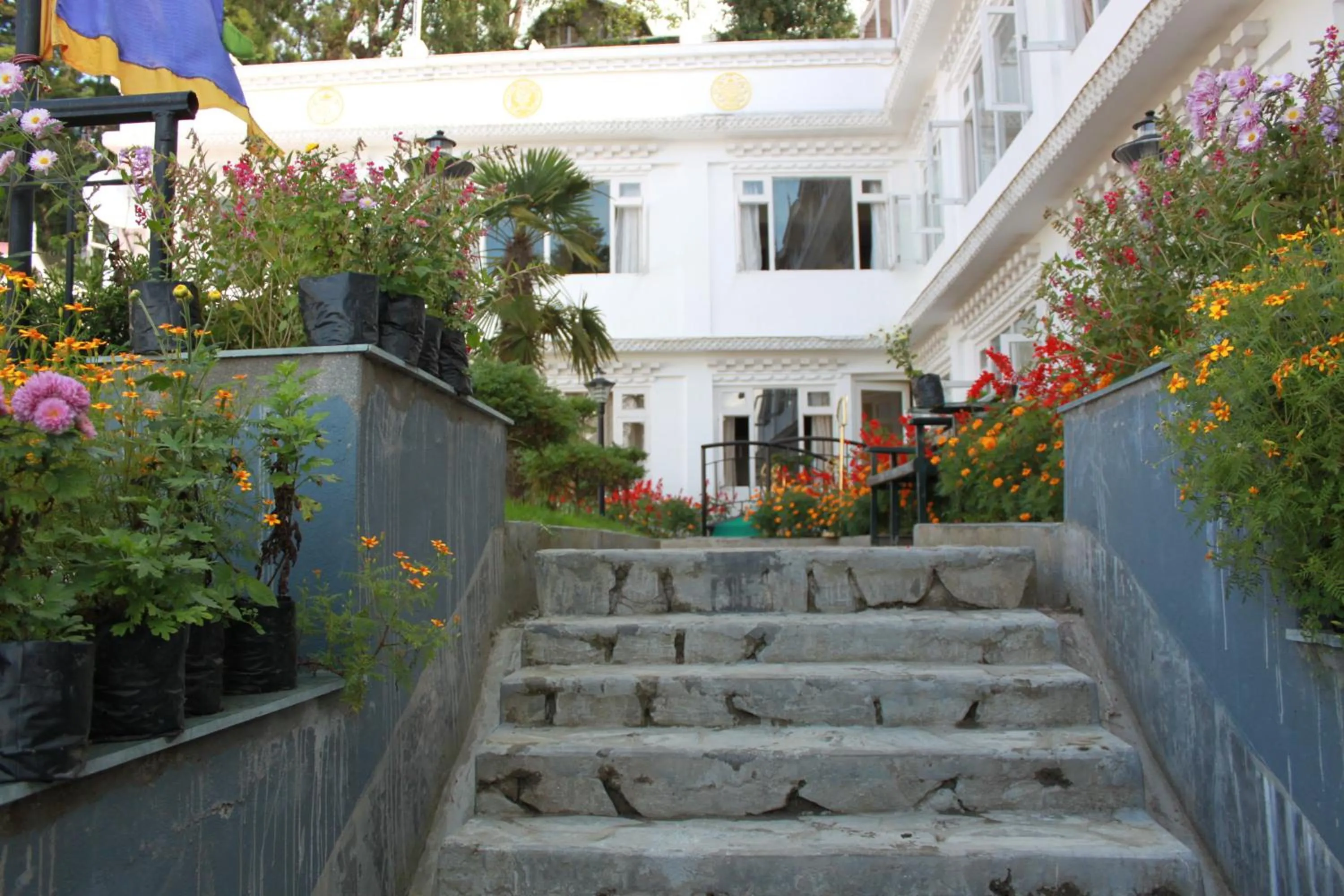 Other in Little Tibet Resort Mall Road