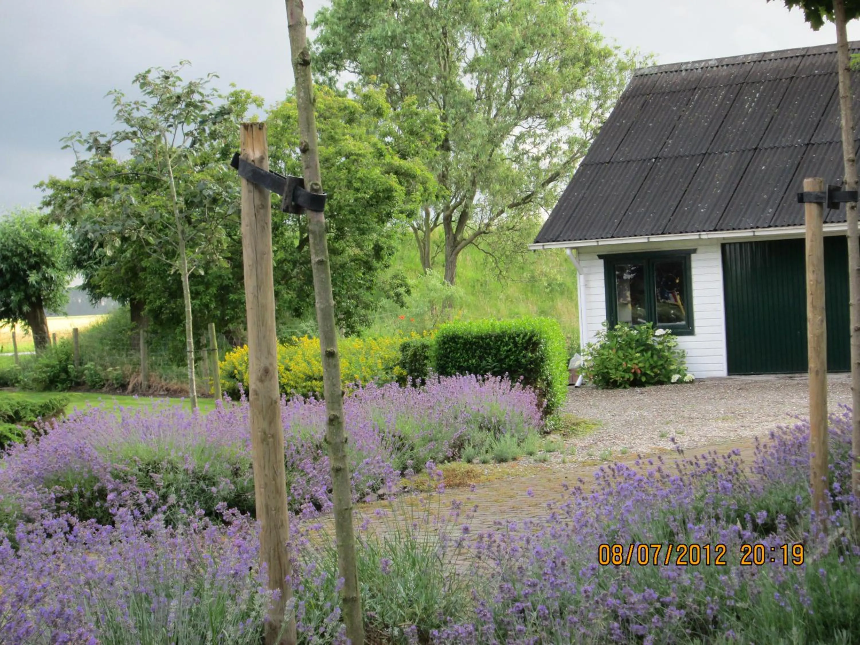 Garden in B&B de Tol