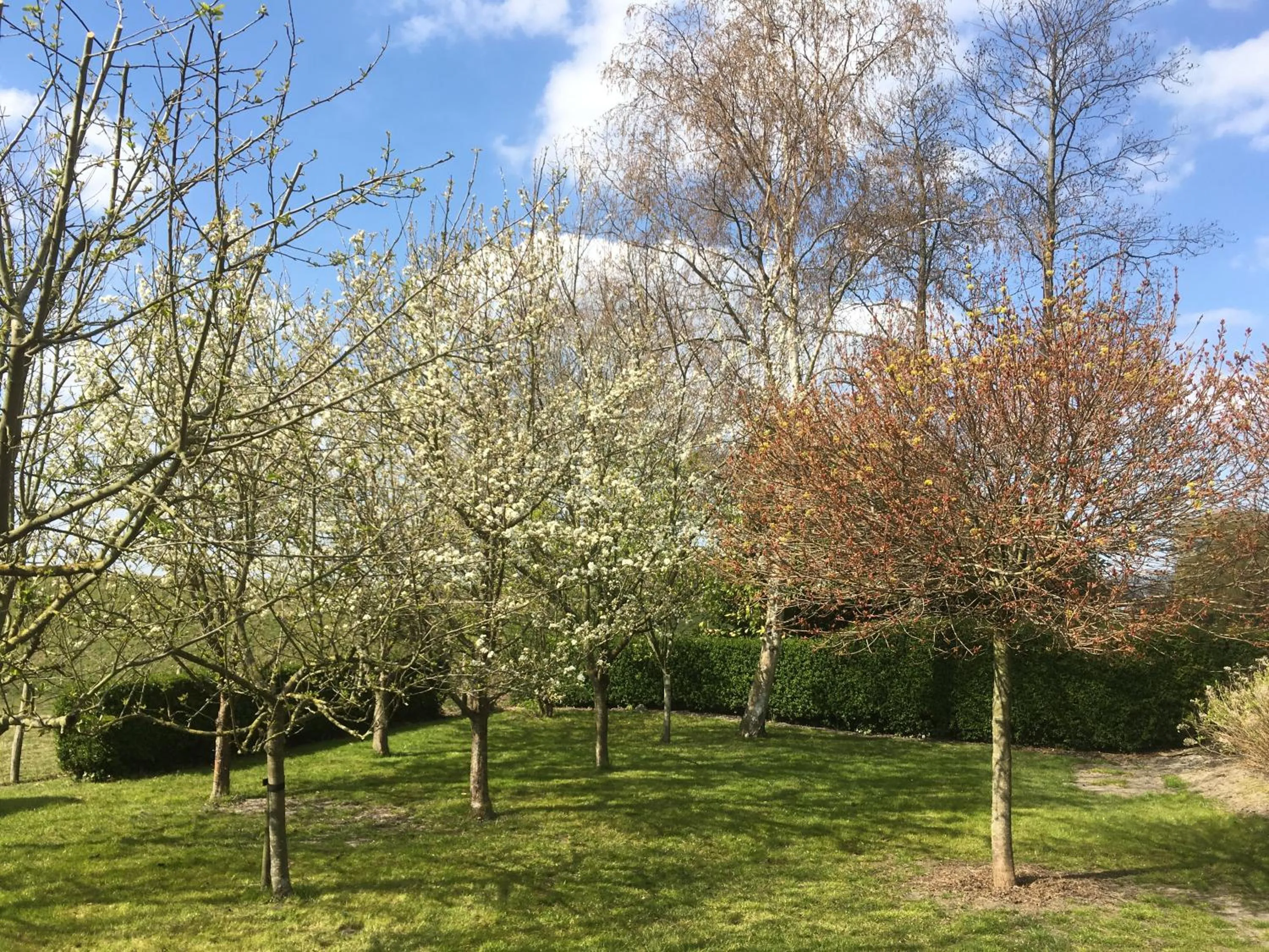 Garden in B&B de Tol