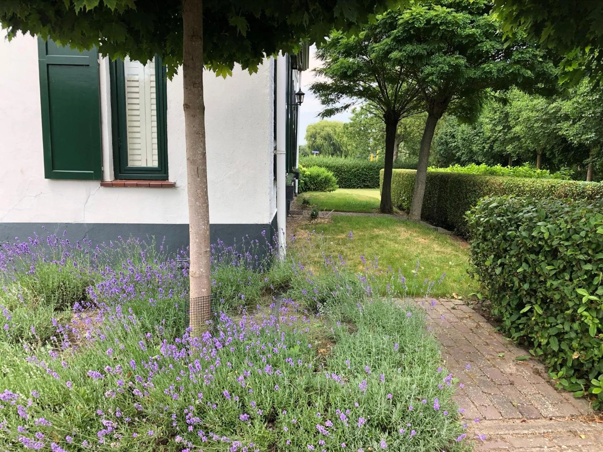 Property building in B&B de Tol