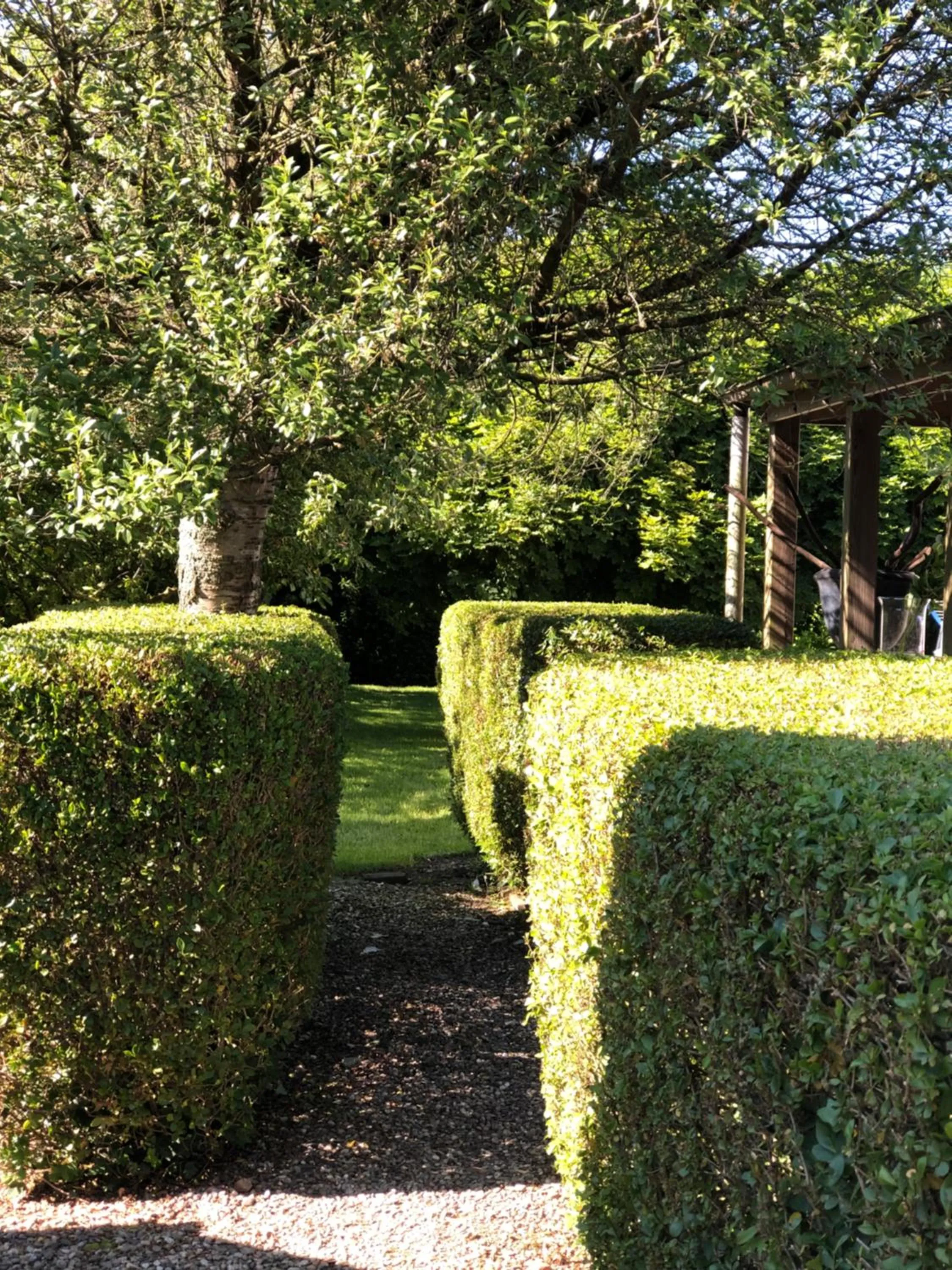 Garden in B&B de Tol