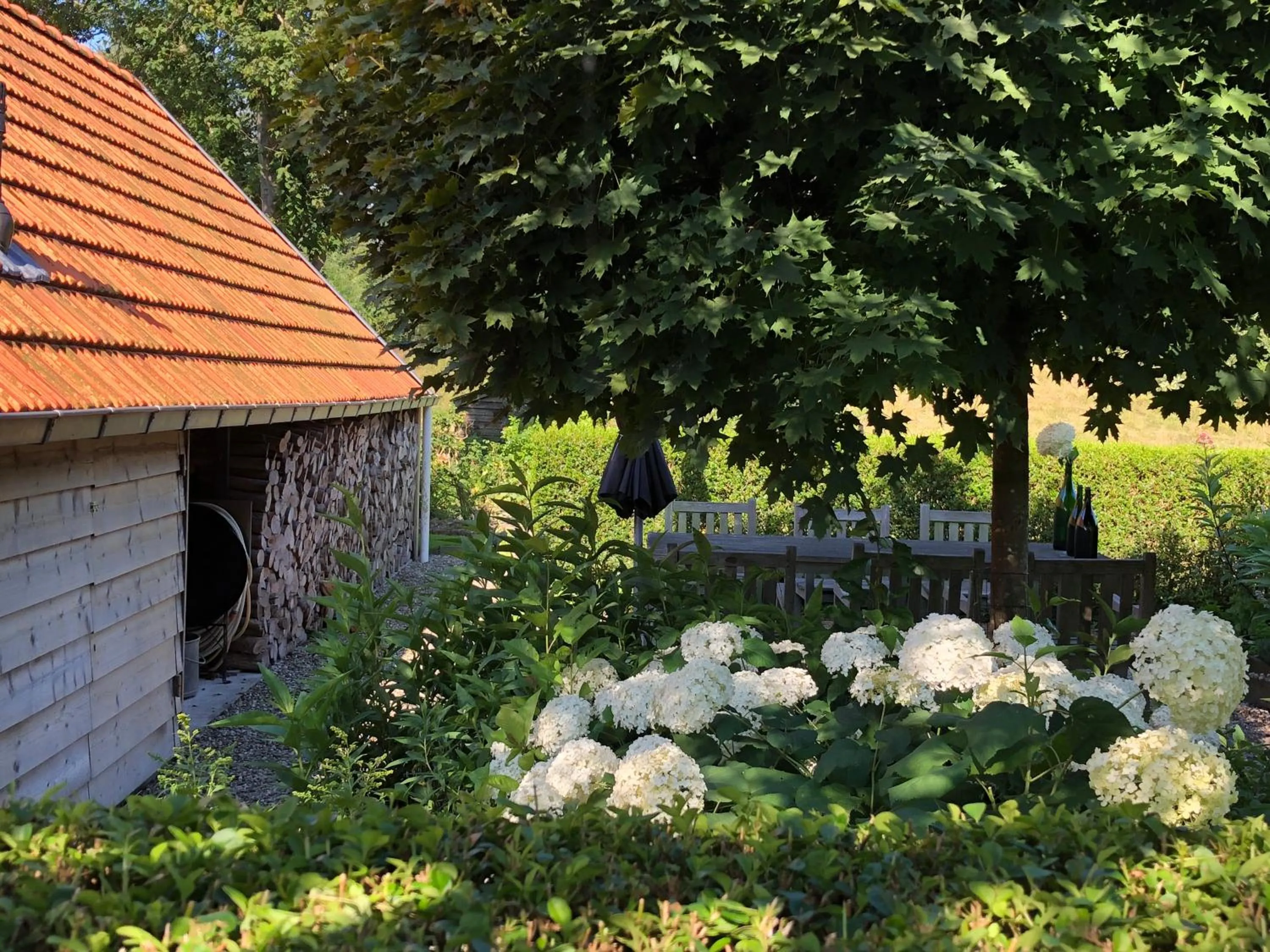 Garden in B&B de Tol