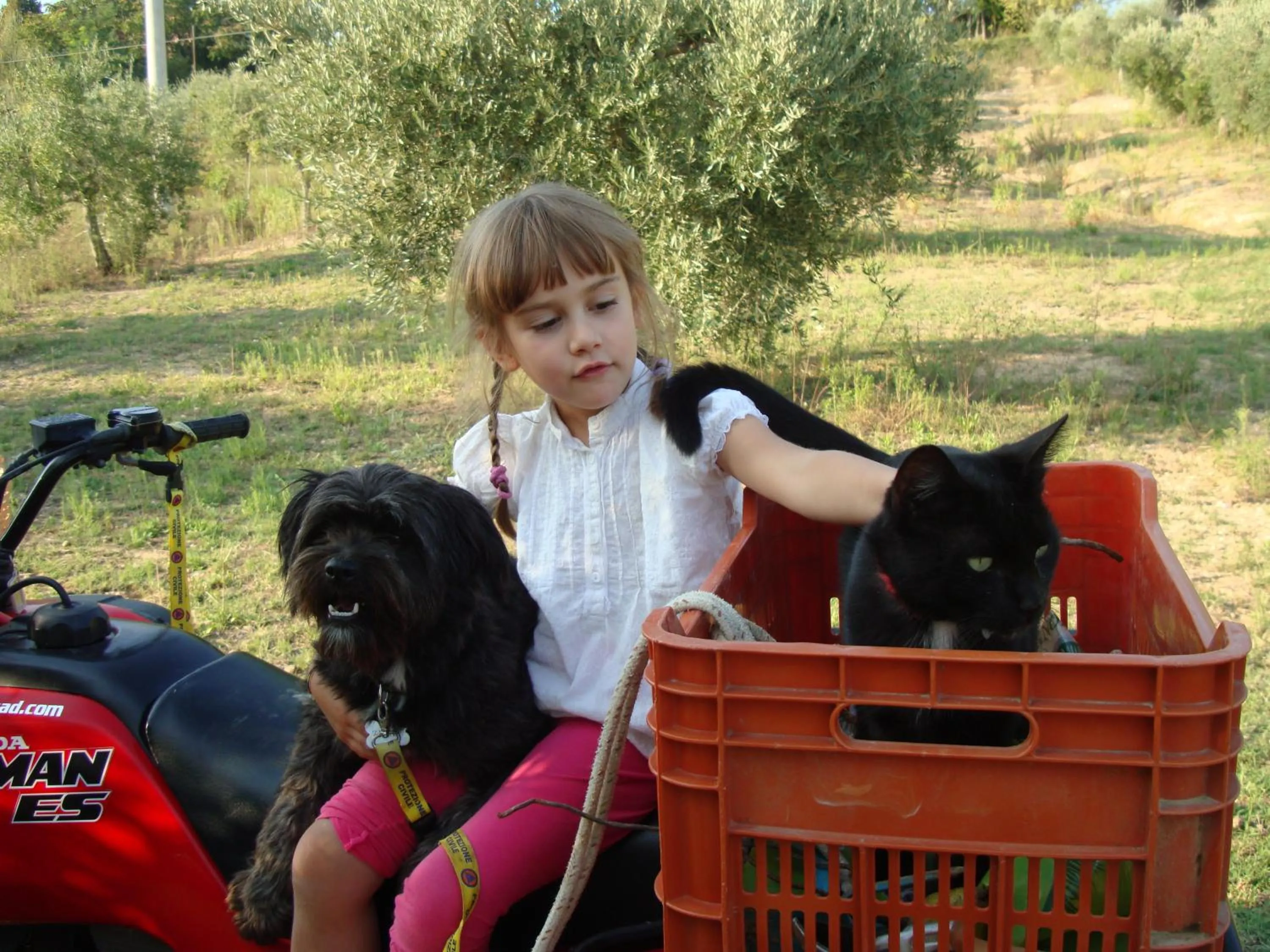 People in Domus Petrae - Ripatransone