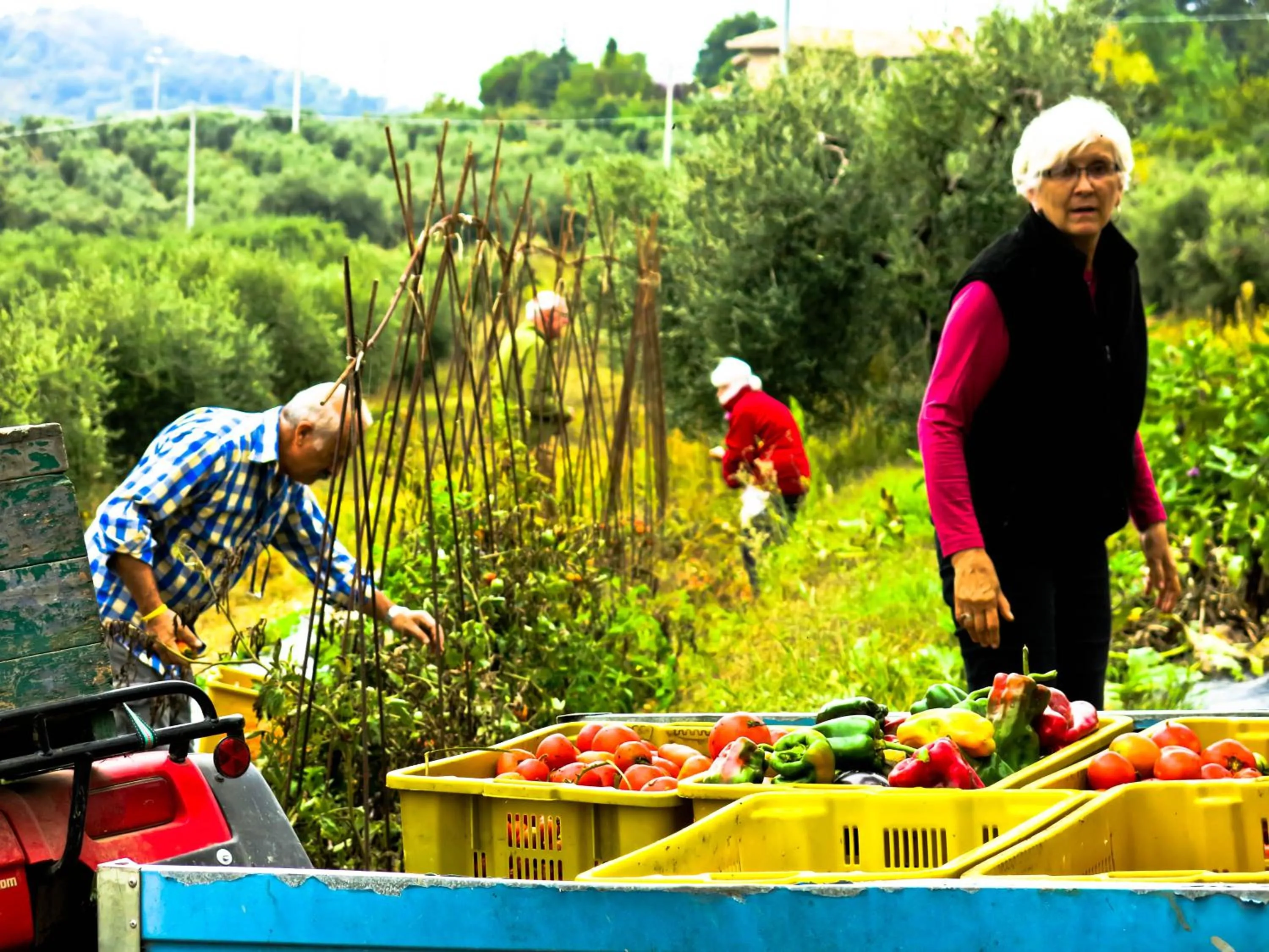 People in Domus Petrae - Ripatransone