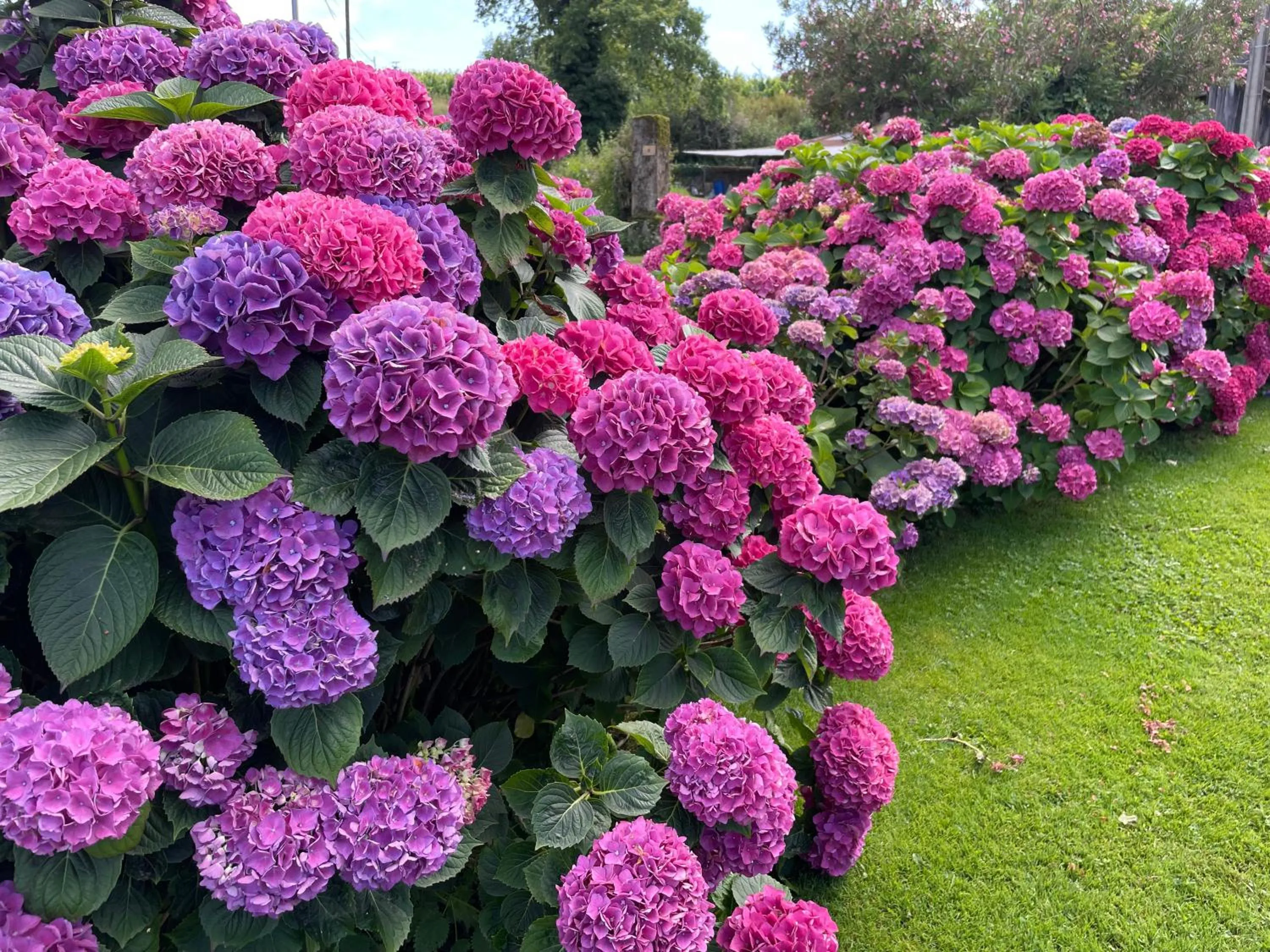 Maison d'Hôtes Canterou