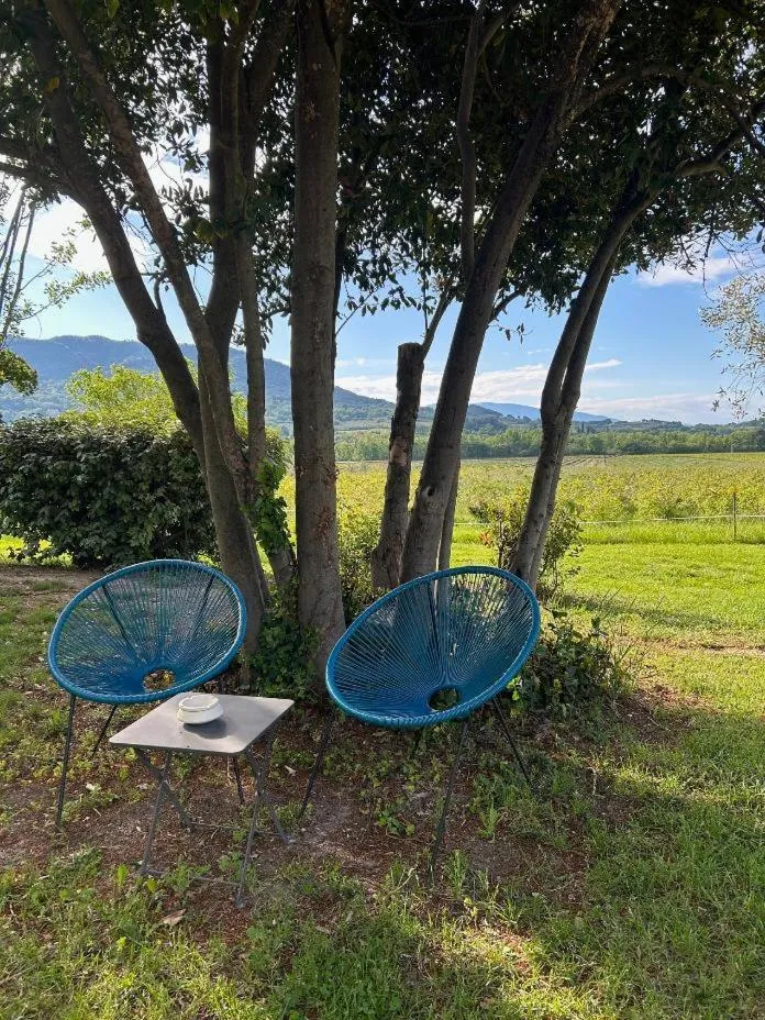 Garden in Logis Hôtel La Bastide des Monges