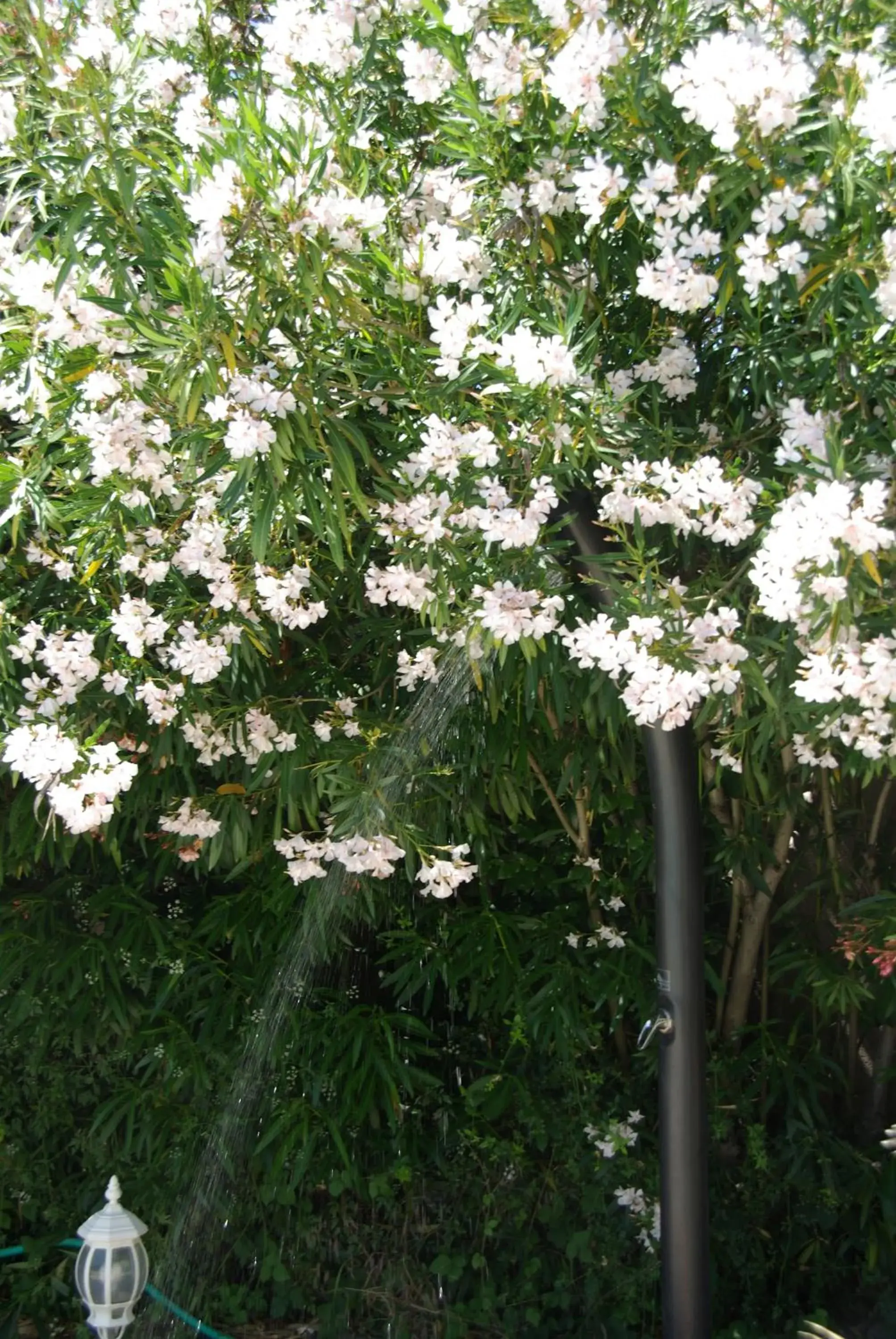 Swimming pool in Logis Hôtel La Bastide des Monges Swimming pool in Logis Hôtel La Bastide des Monges