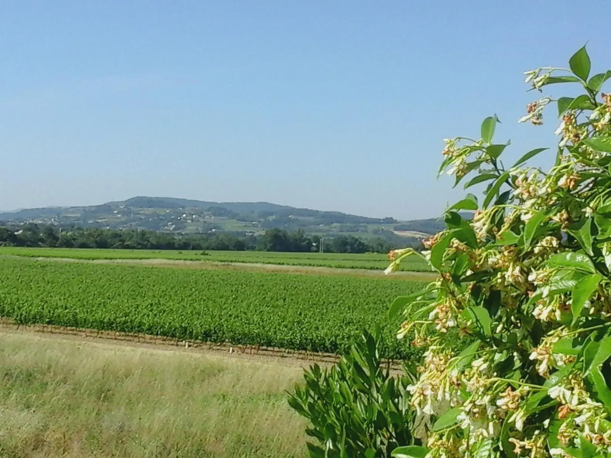 Mountain view in Logis Hôtel La Bastide des Monges Mountain view in Logis Hôtel La Bastide des Monges