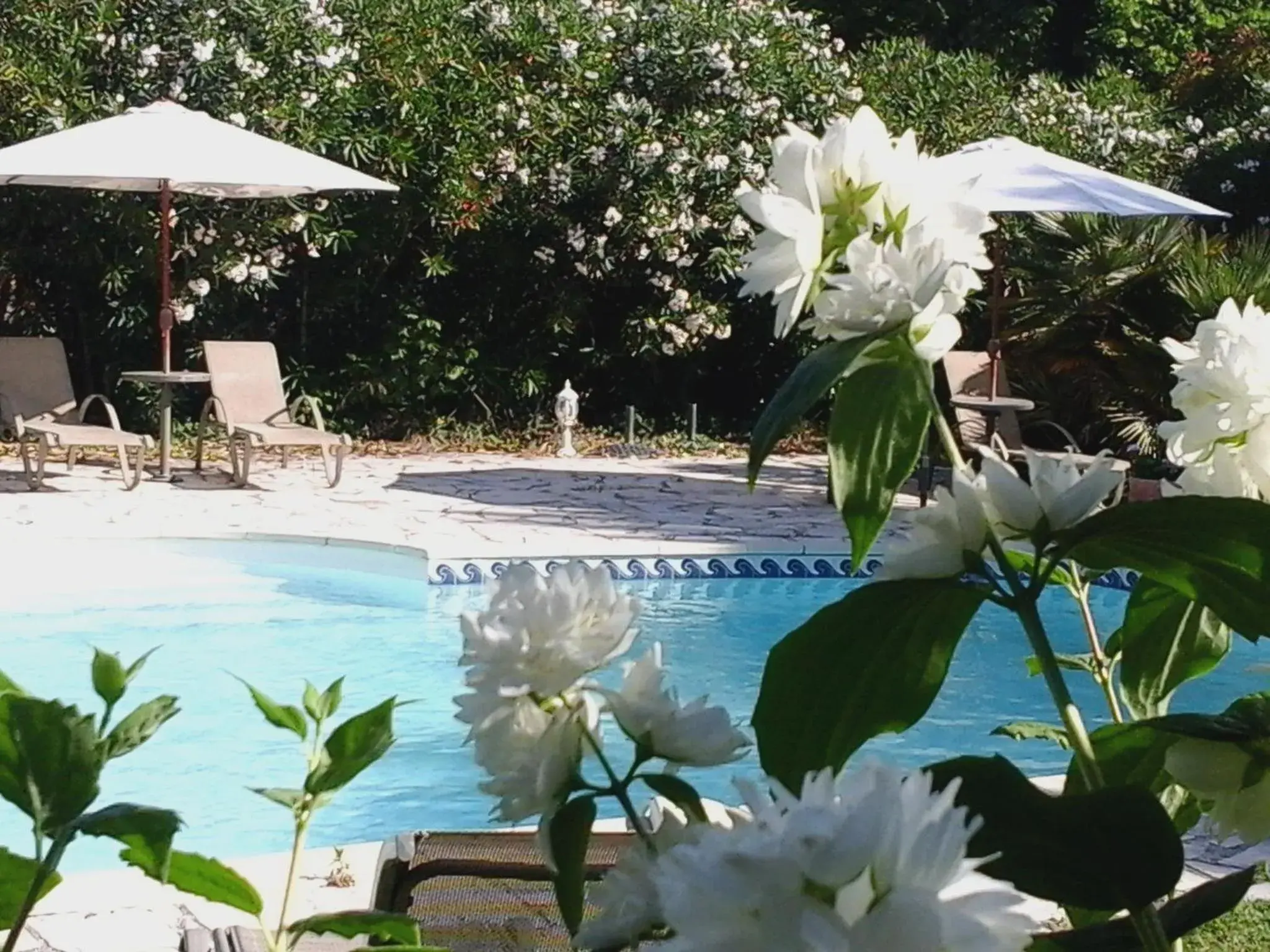 Pool view in Logis Hôtel La Bastide des Monges Pool view in Logis Hôtel La Bastide des Monges