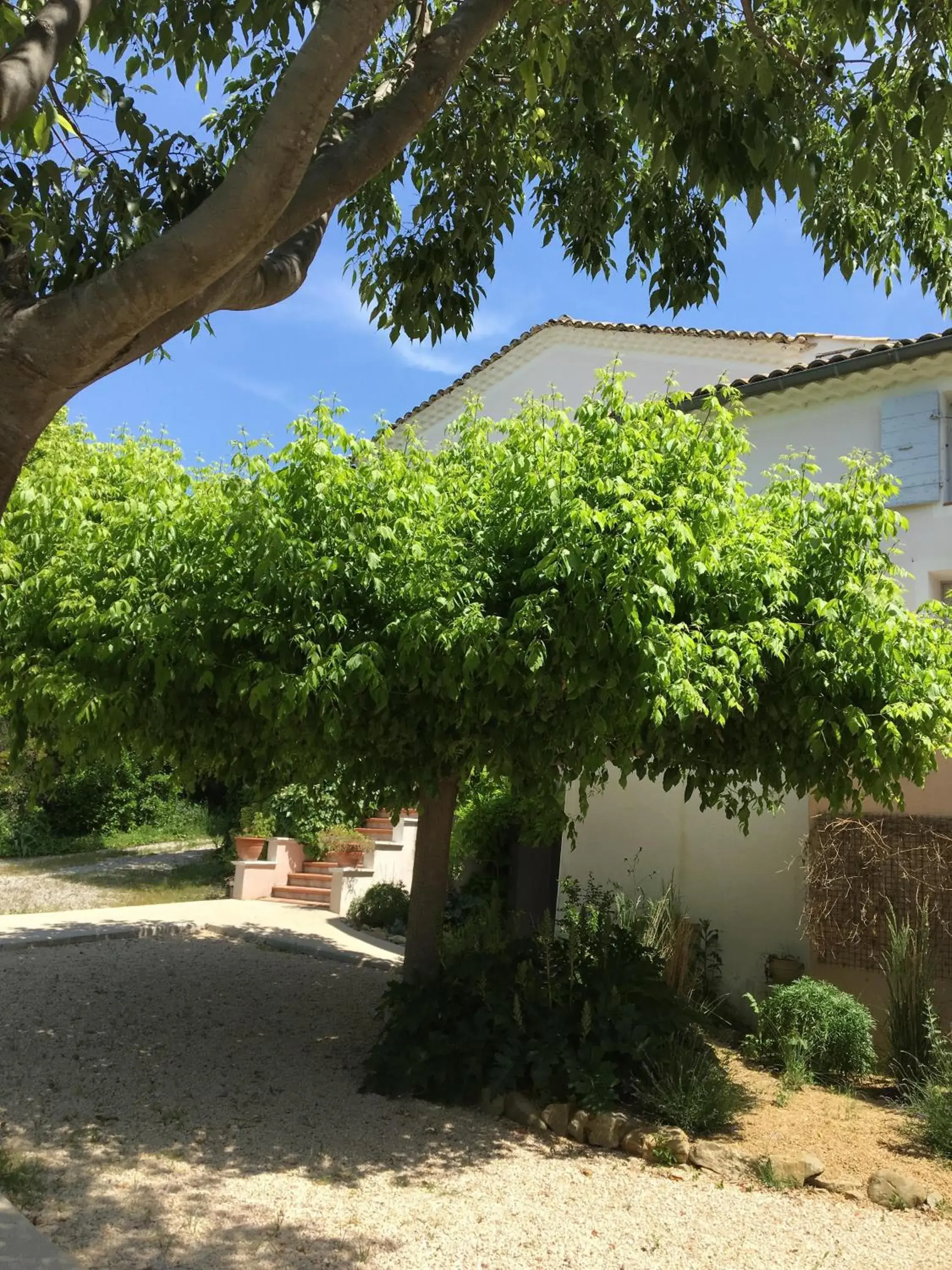 Garden view in Logis Hôtel La Bastide des Monges Garden view in Logis Hôtel La Bastide des Monges
