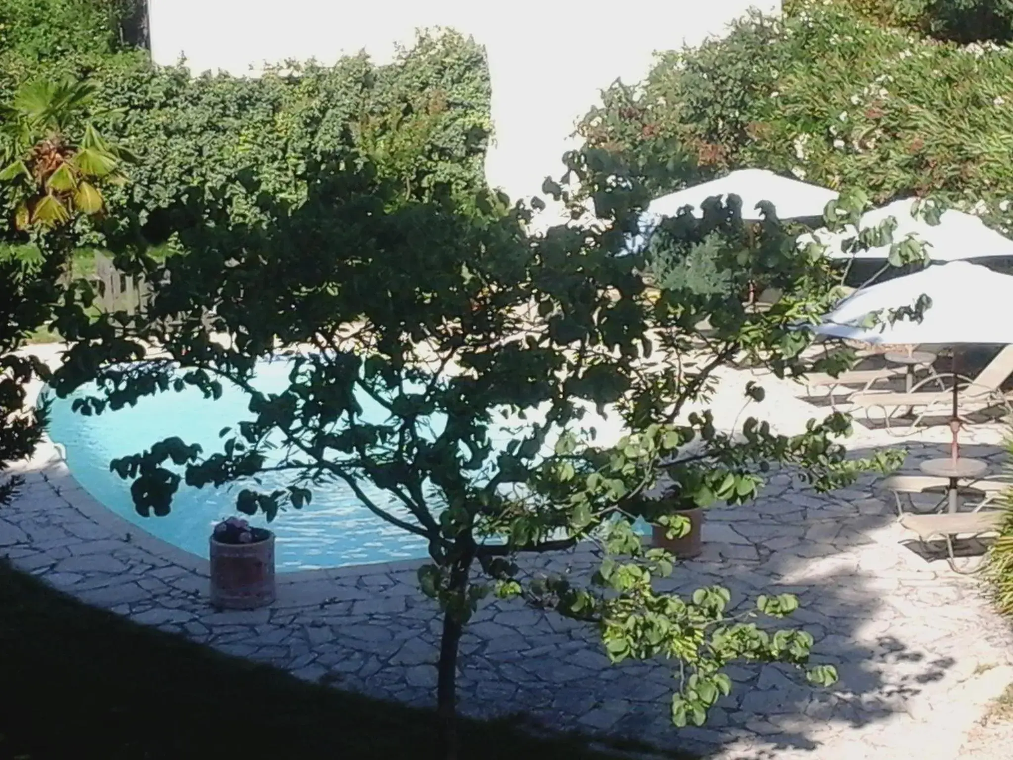 Pool view in Logis Hôtel La Bastide des Monges Pool view in Logis Hôtel La Bastide des Monges