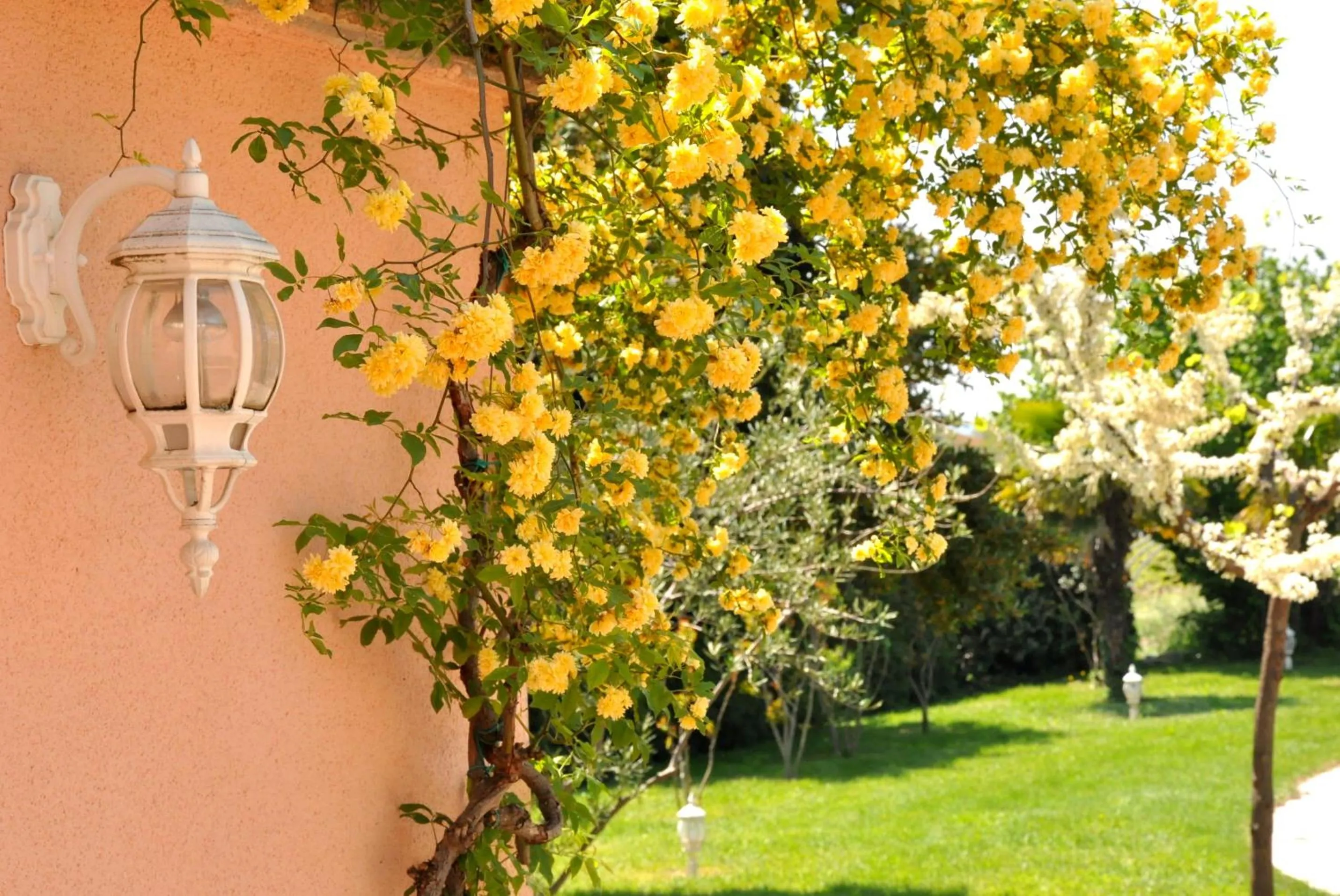 Garden in Logis Hôtel La Bastide des Monges