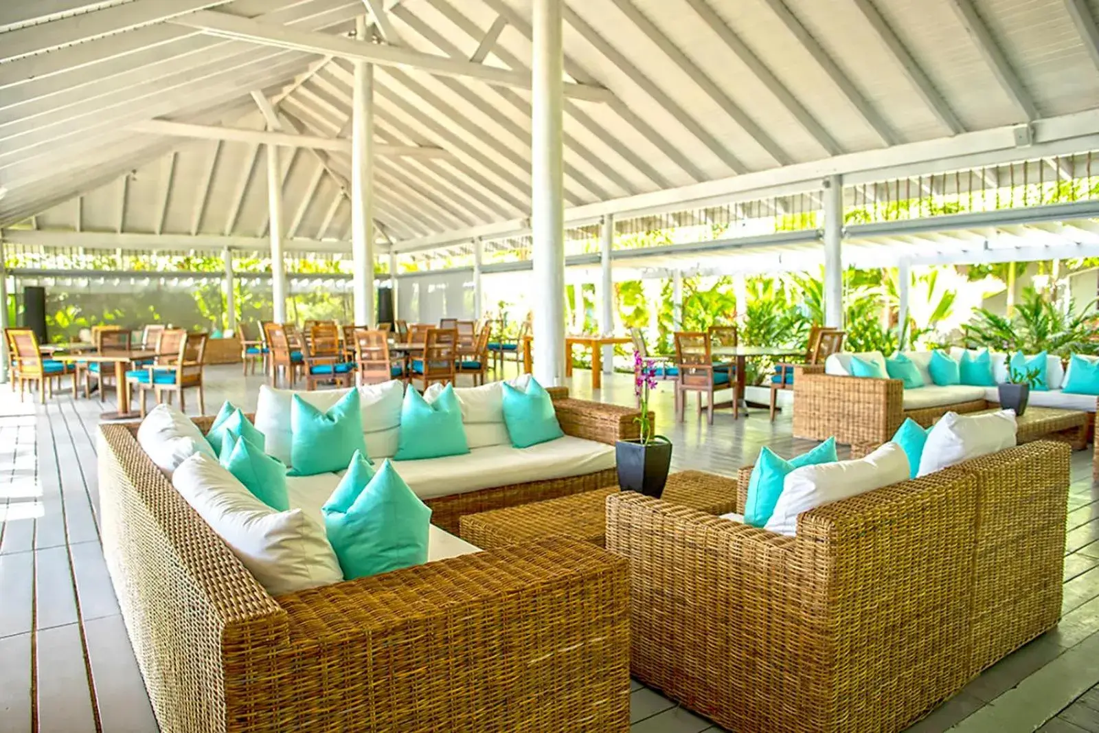 Lounge or bar in Carlisle Bay Lounge or bar in Carlisle Bay