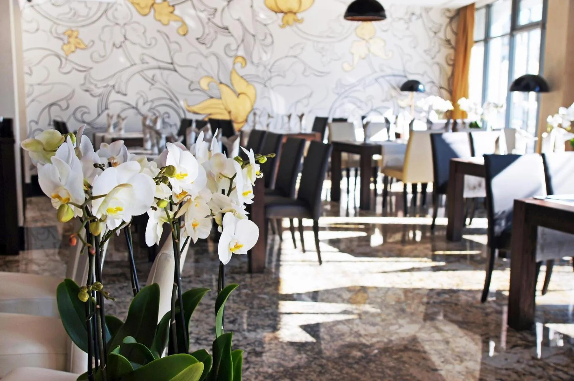 Restaurant/places to eat in BoutiqueHotel Aristo