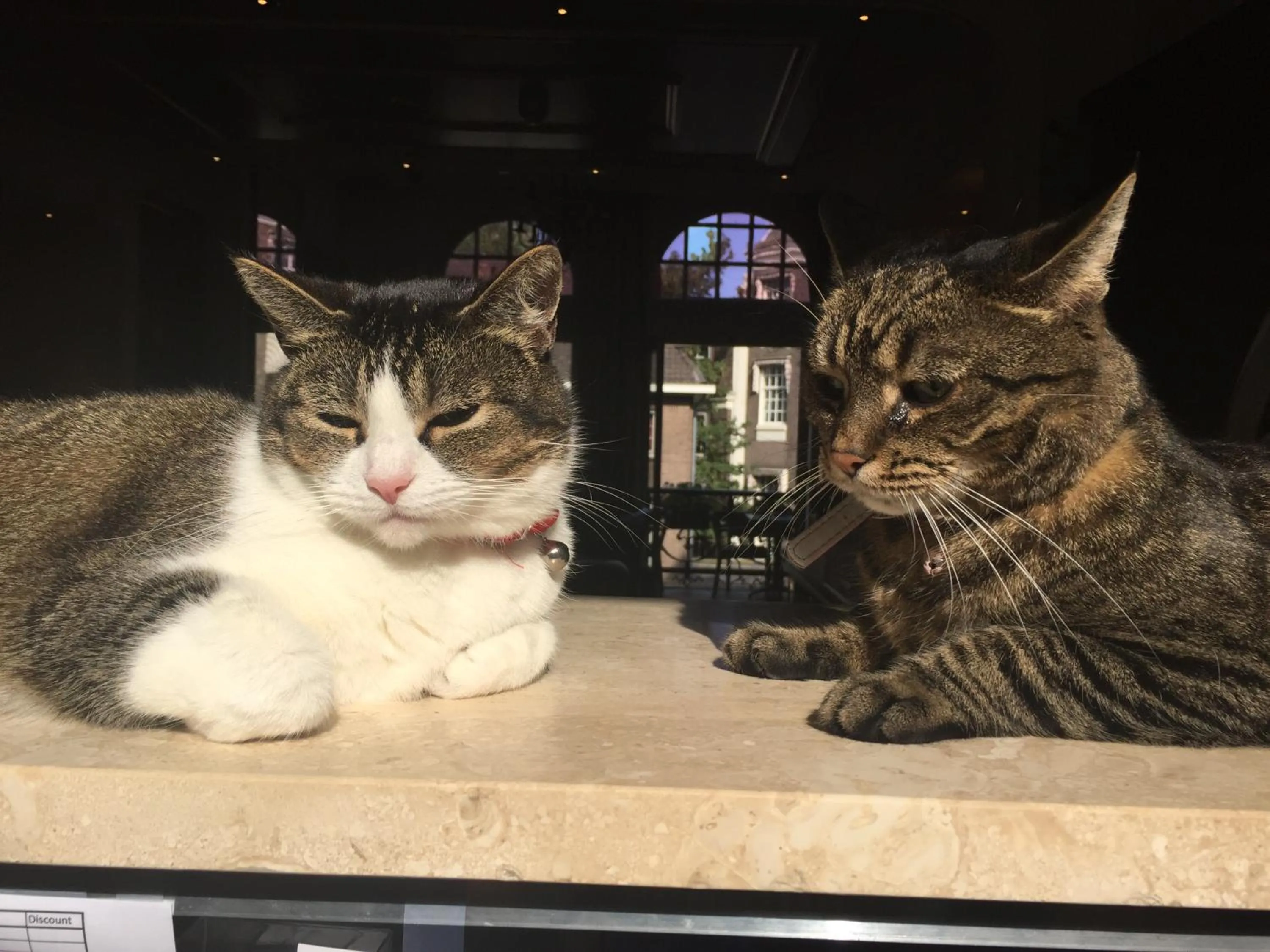 Property building in Hotel Clemens