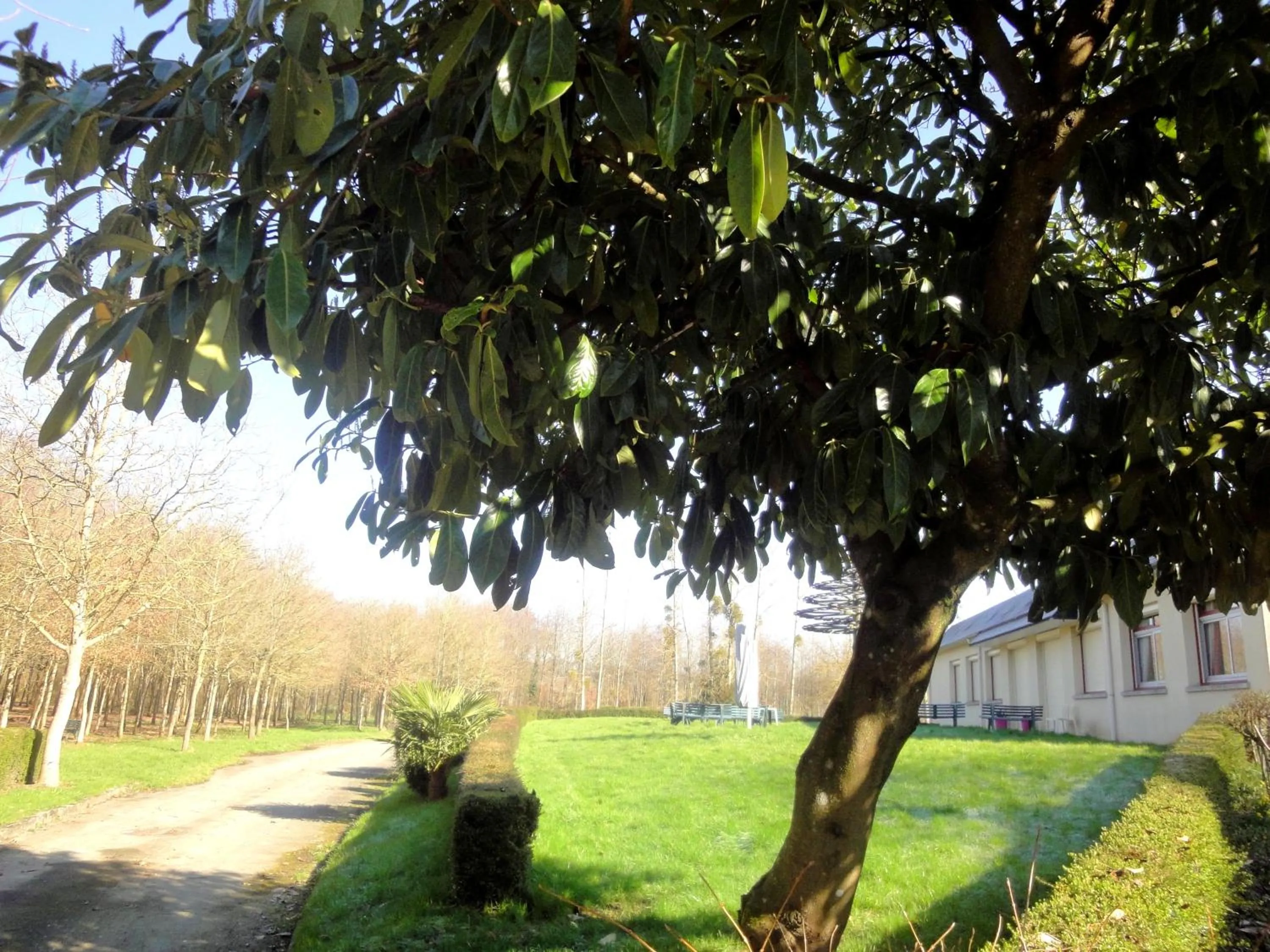 Garden in Hotel Restaurant La Grenouillère