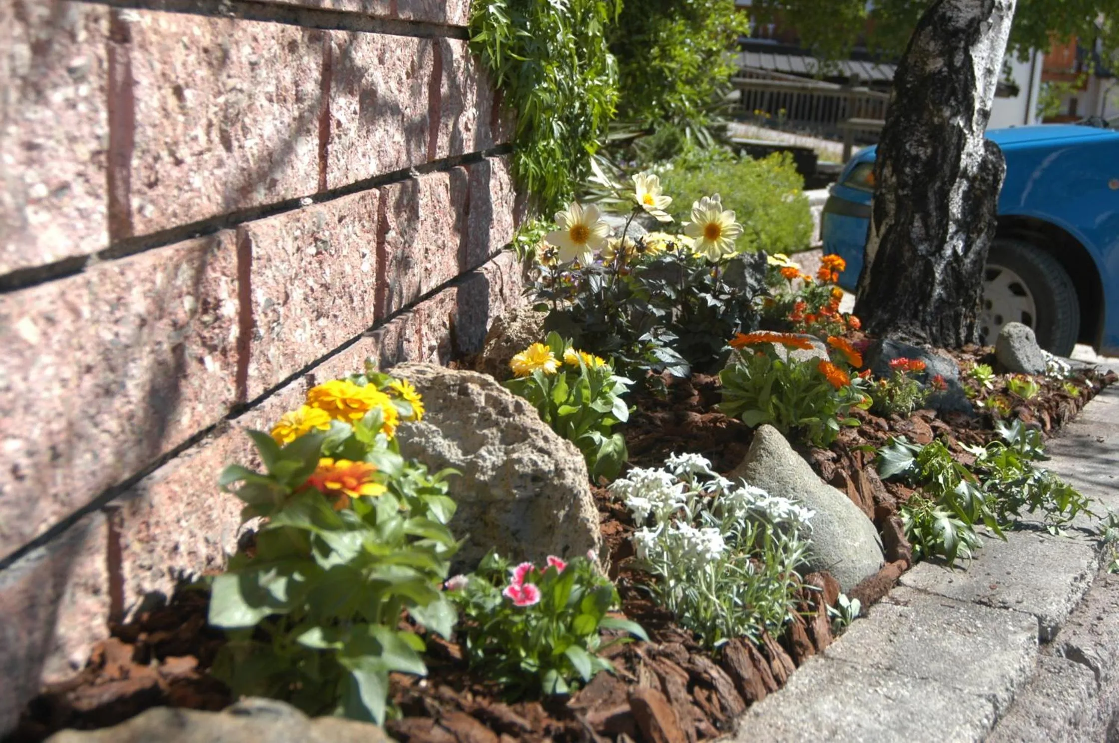 Garden in Residence Weiss