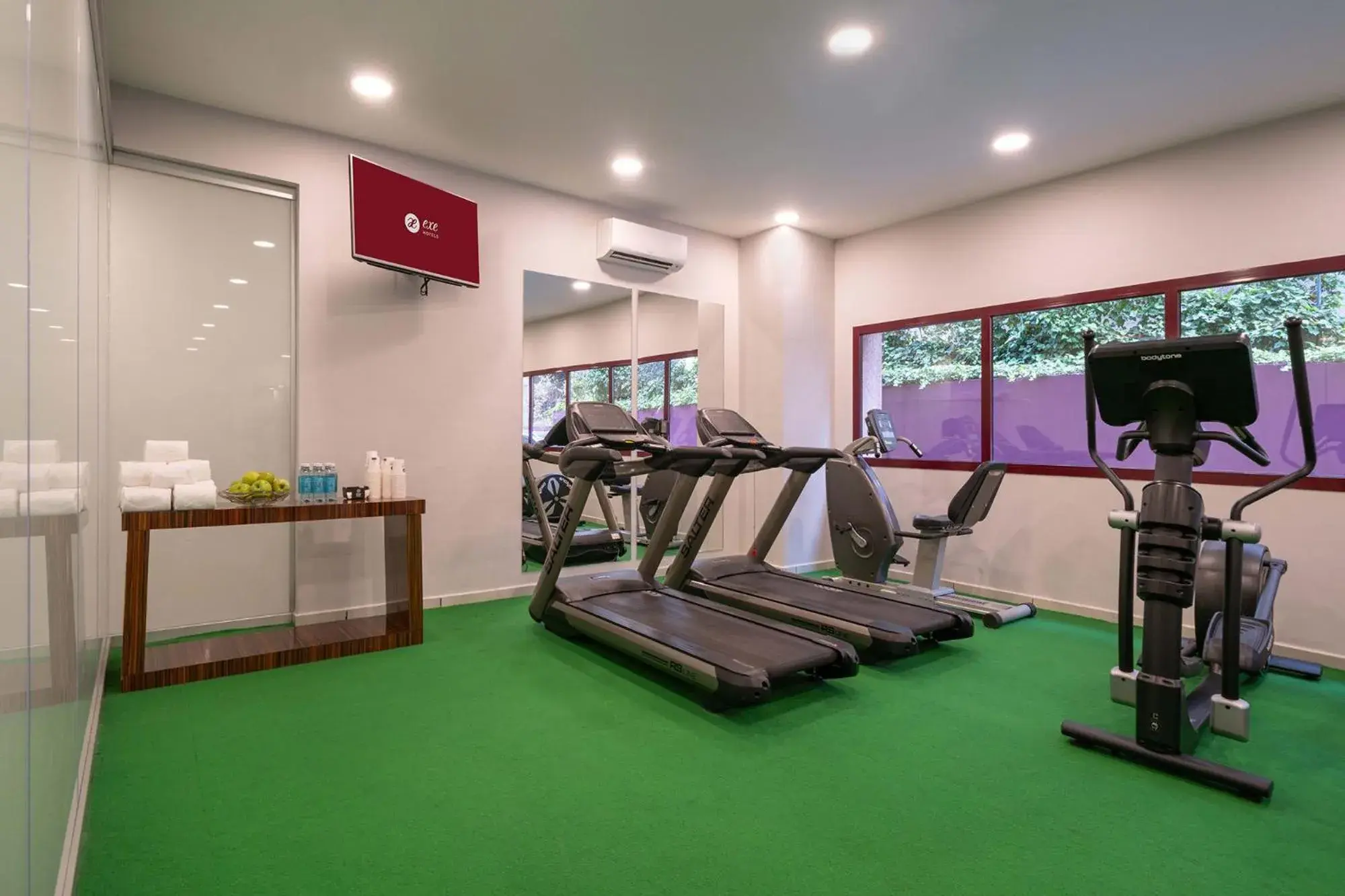 Fitness centre/facilities in Exe Convention Plaza Madrid Fitness centre/facilities in Exe Convention Plaza Madrid