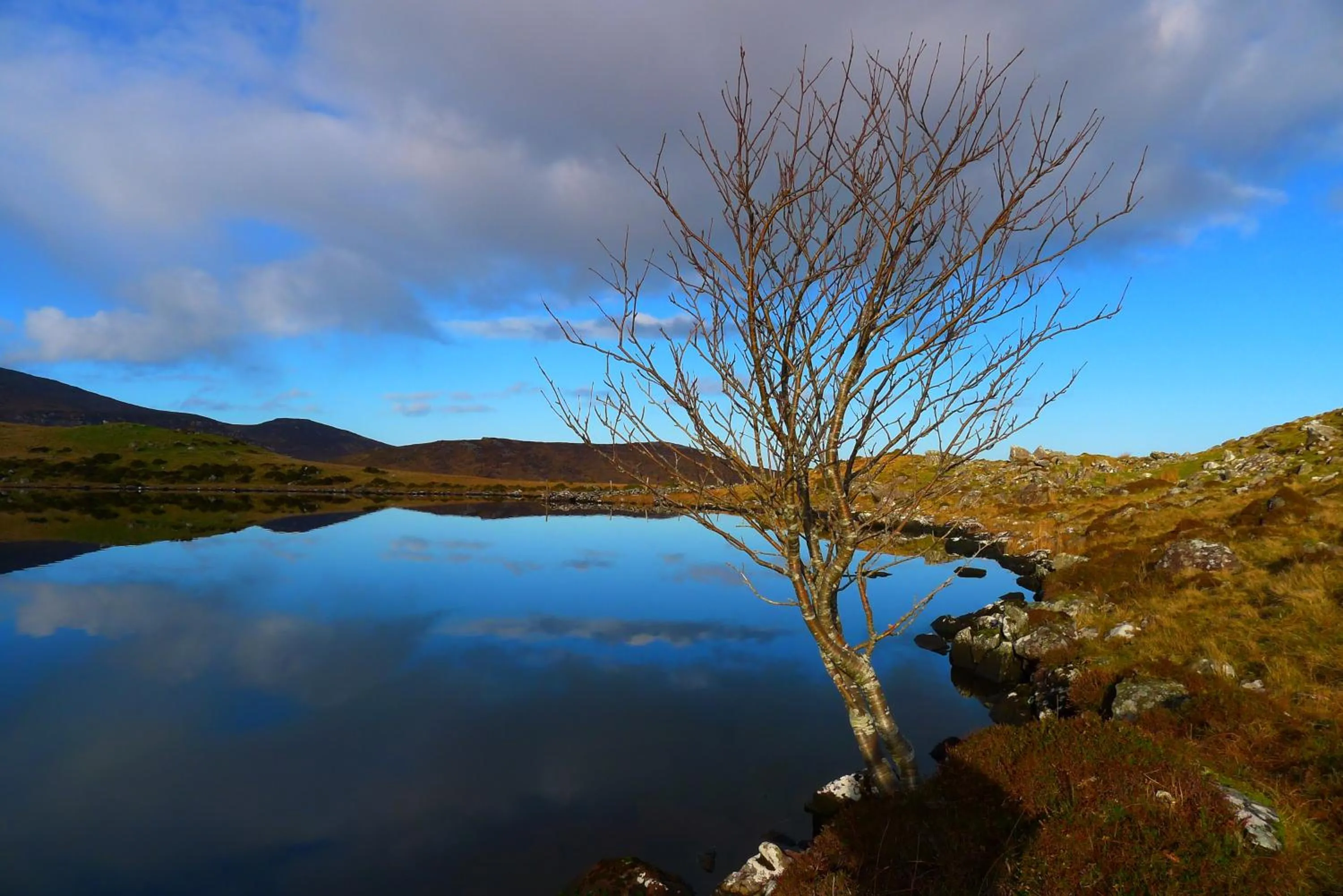 Natural landscape in Keanes of Curraheen, Bar, Restaurant & Accommodation