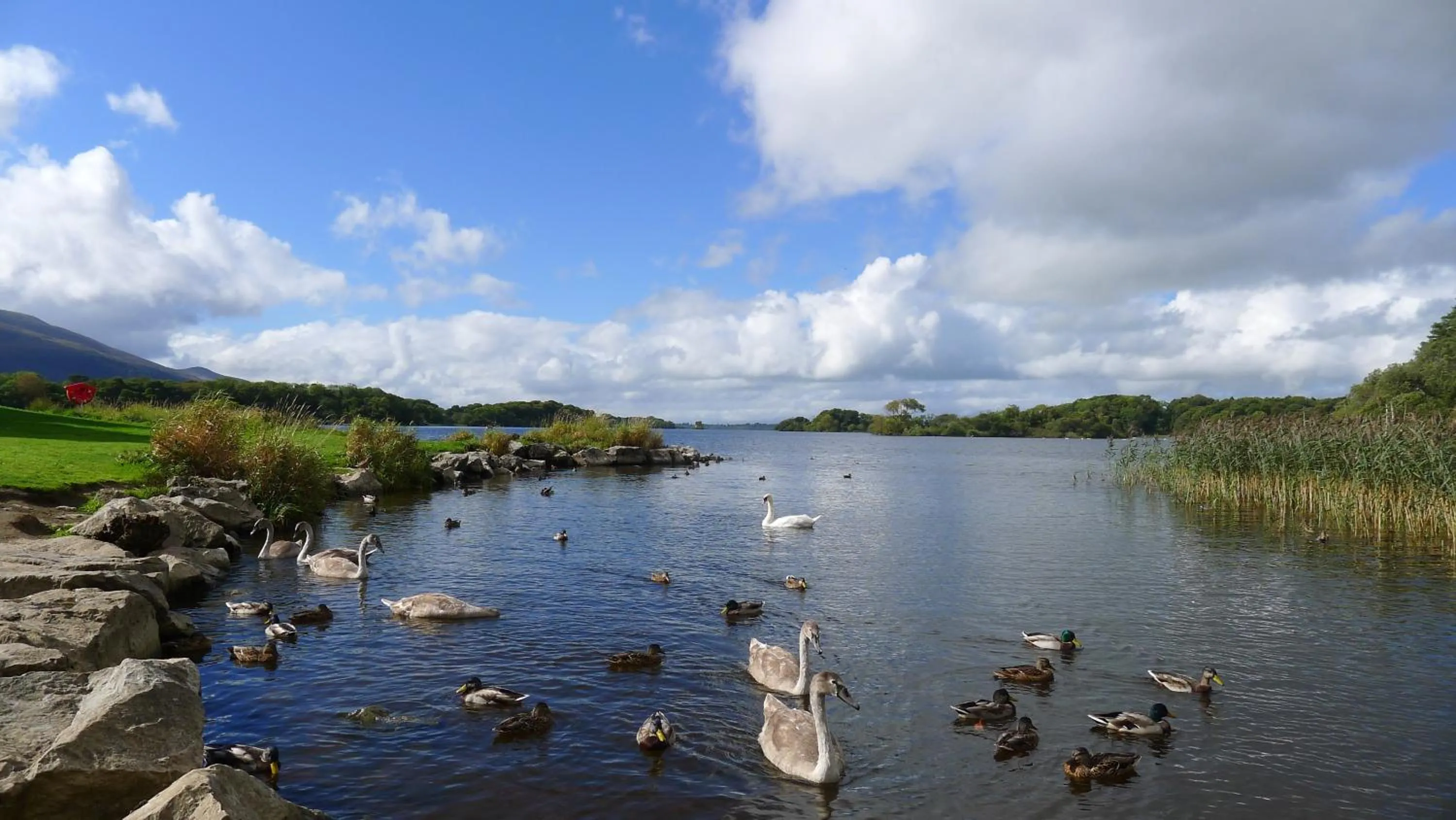 Day in Keanes of Curraheen, Bar, Restaurant & Accommodation