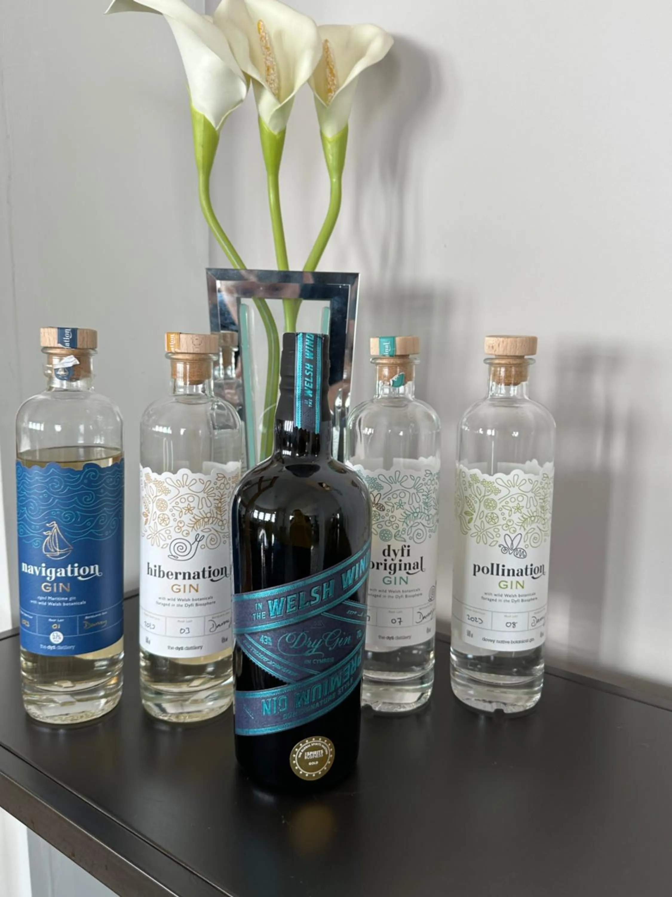 Alcoholic drinks in Caerwylan Hotel