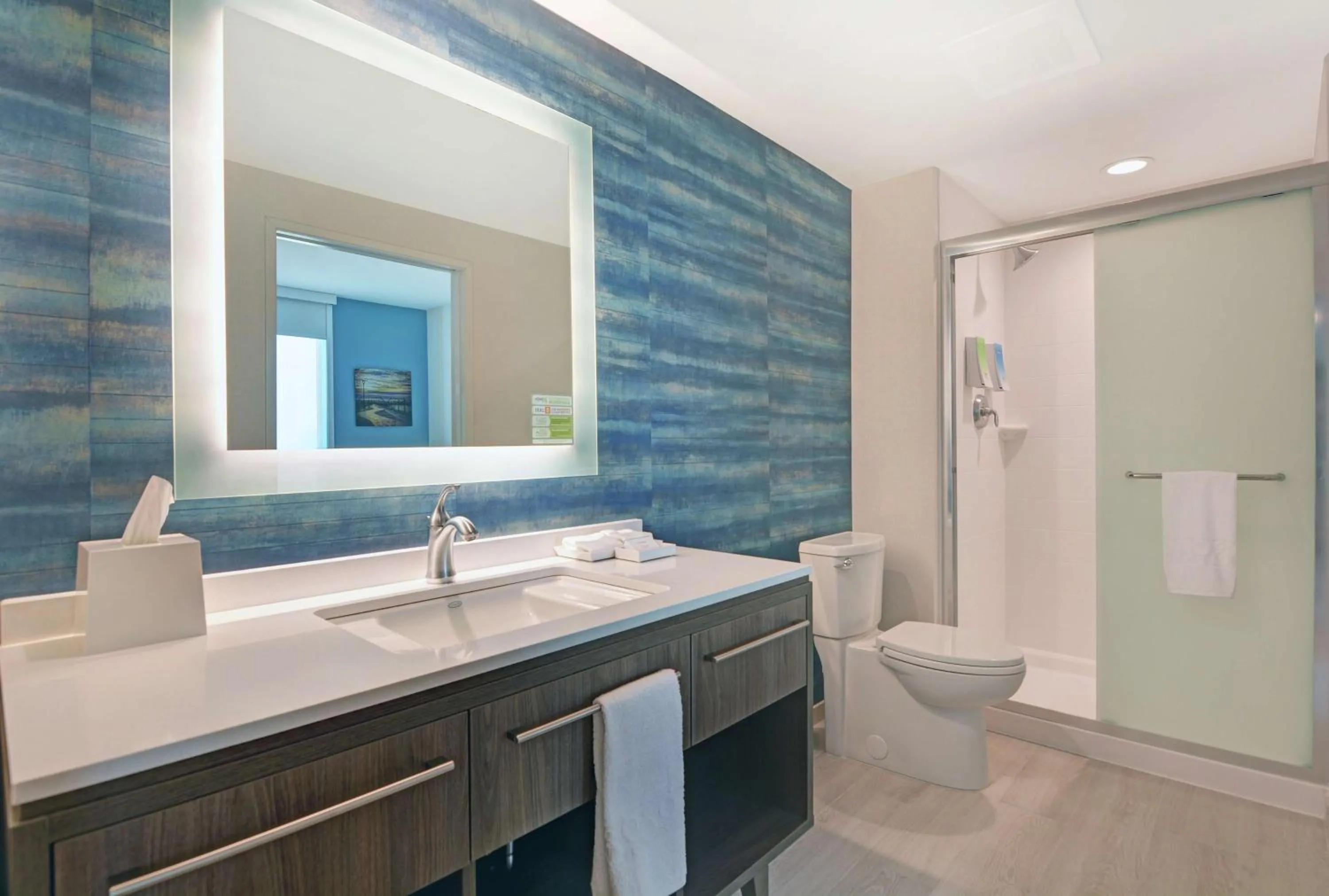 Bathroom in Home2 Suites By Hilton Bettendorf Quad Cities