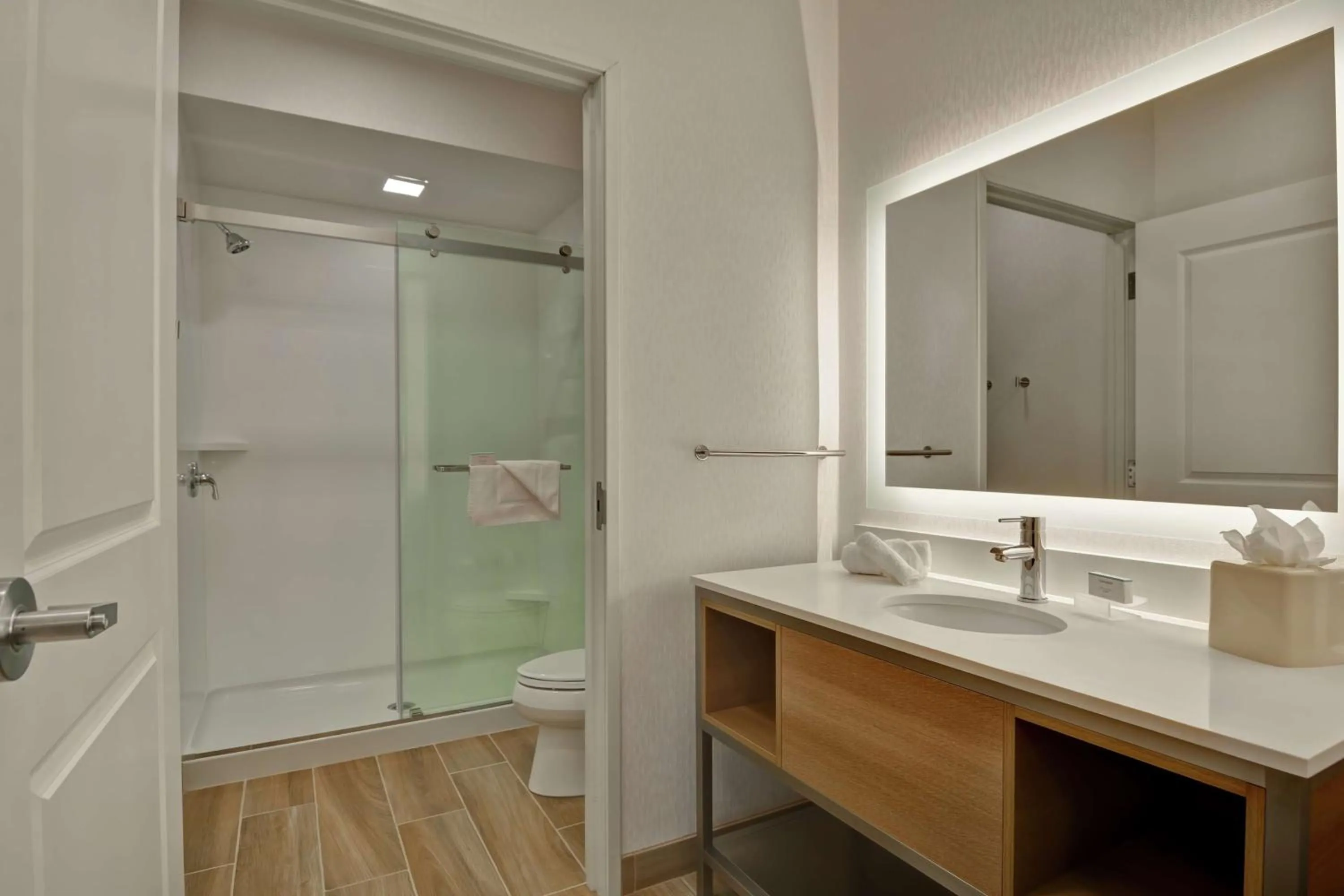 Bathroom in Homewood Suites By Hilton Chula Vista Eastlake