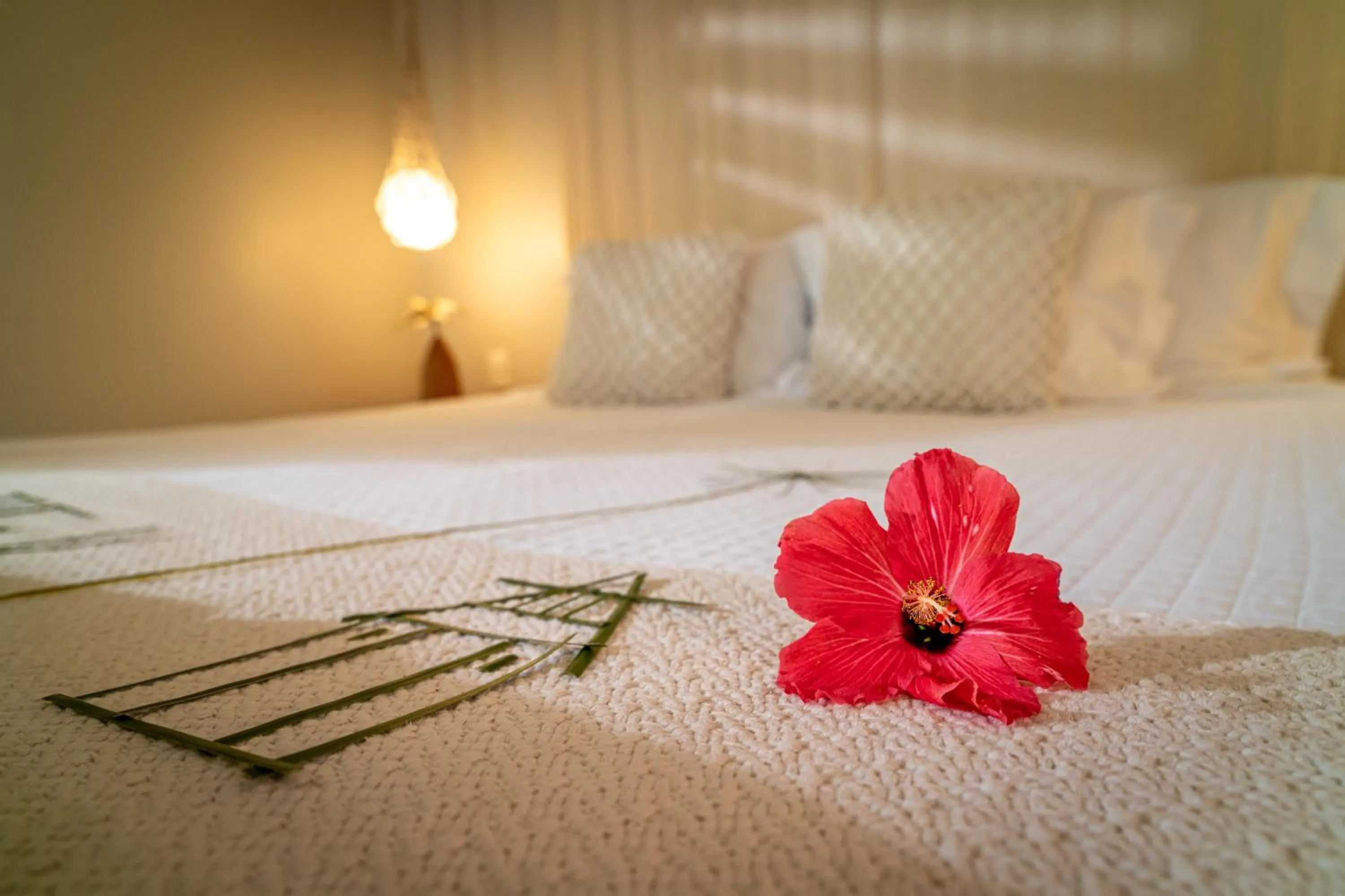 Bed in Pontal dos Carneiros Beach Bungalows