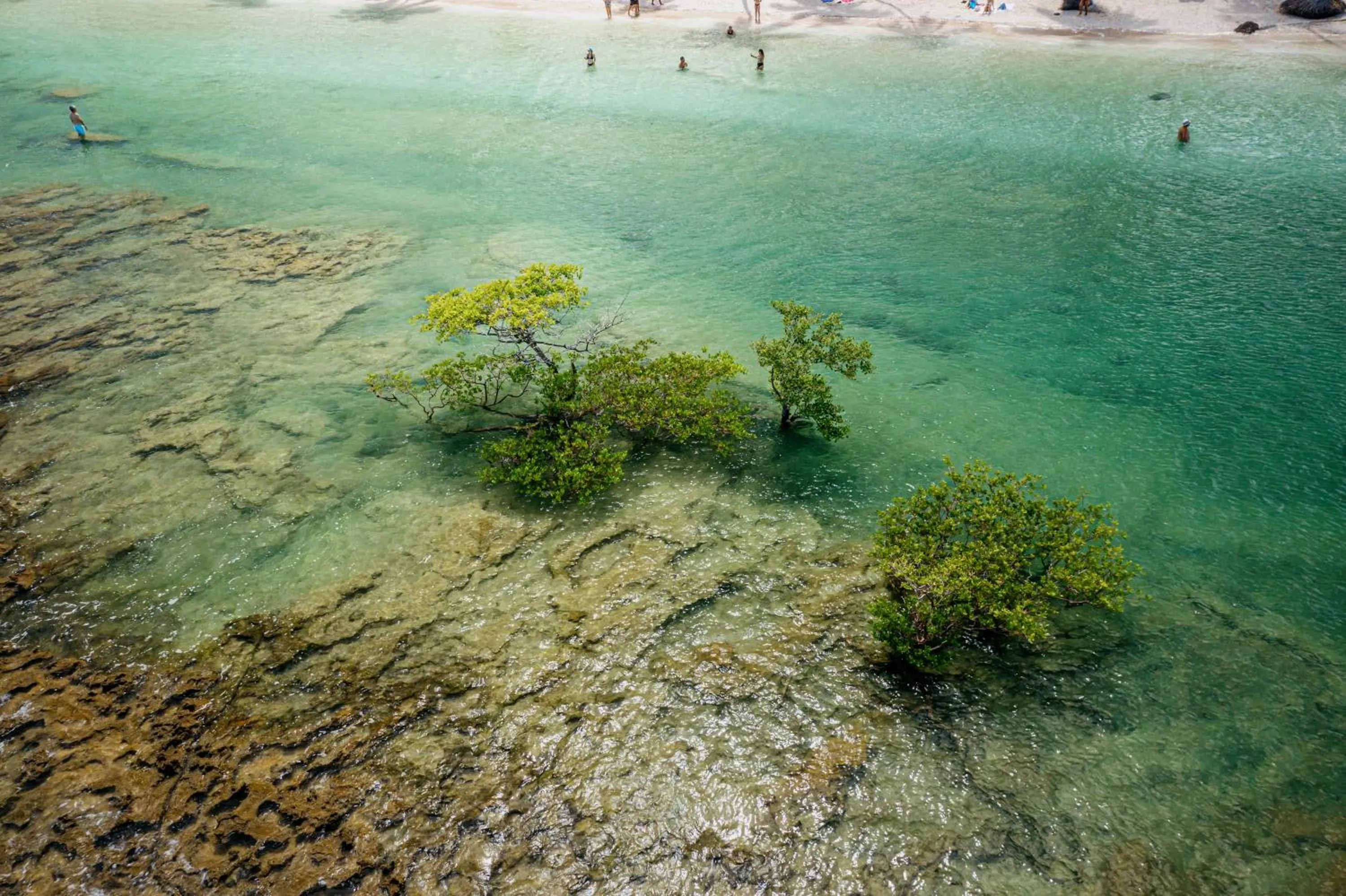 Natural landscape in Pontal dos Carneiros Beach Bungalows