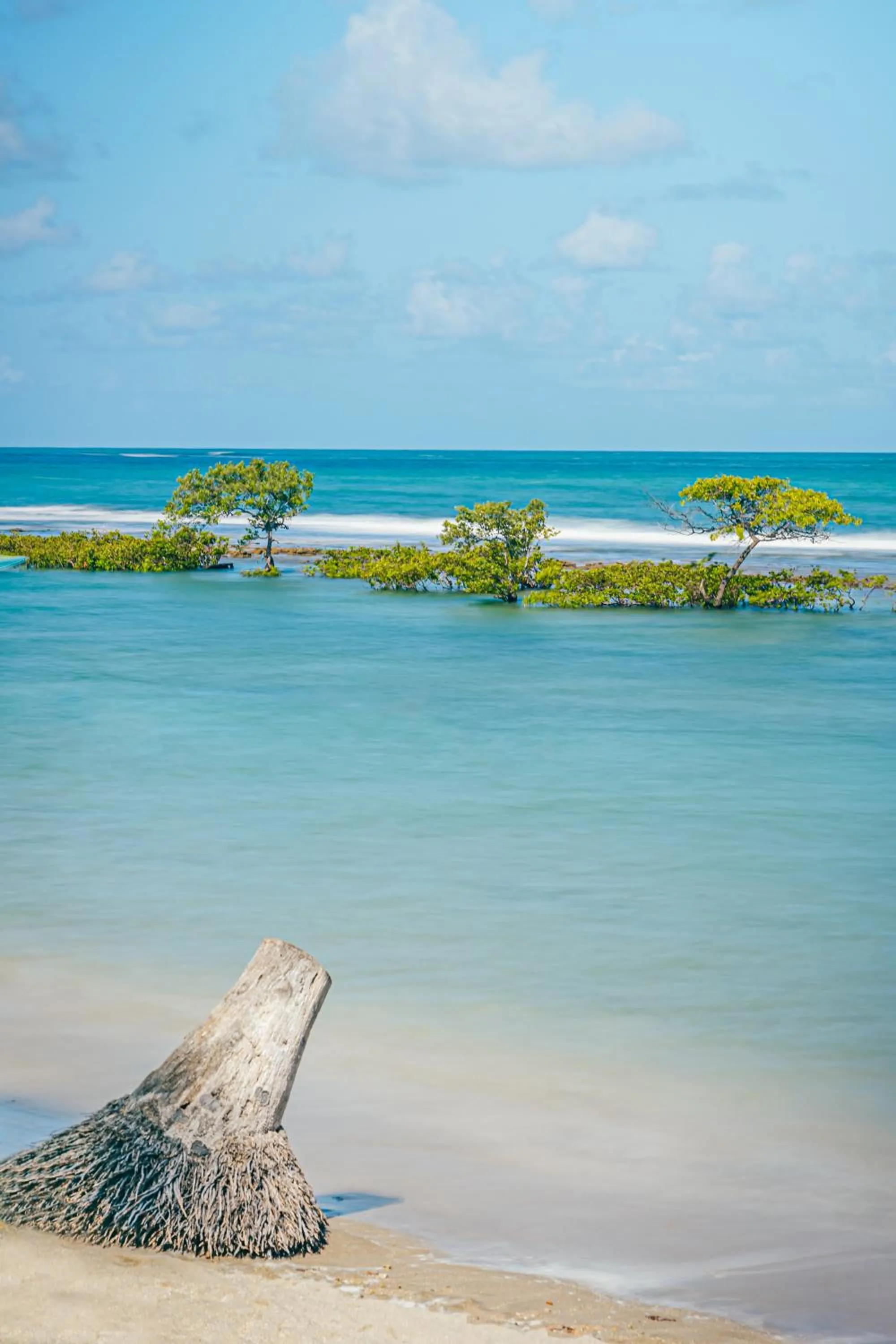 Natural landscape in Pontal dos Carneiros Beach Bungalows