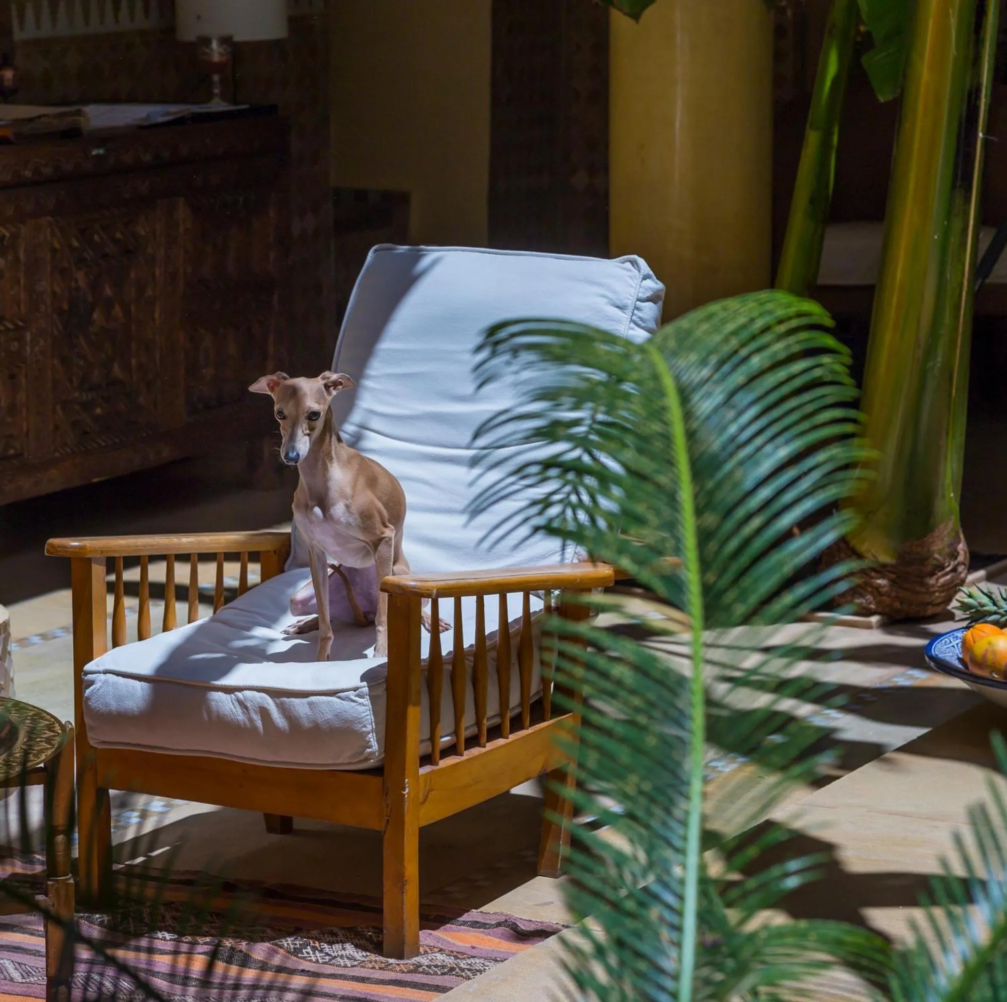 Patio in Riad Azoulay