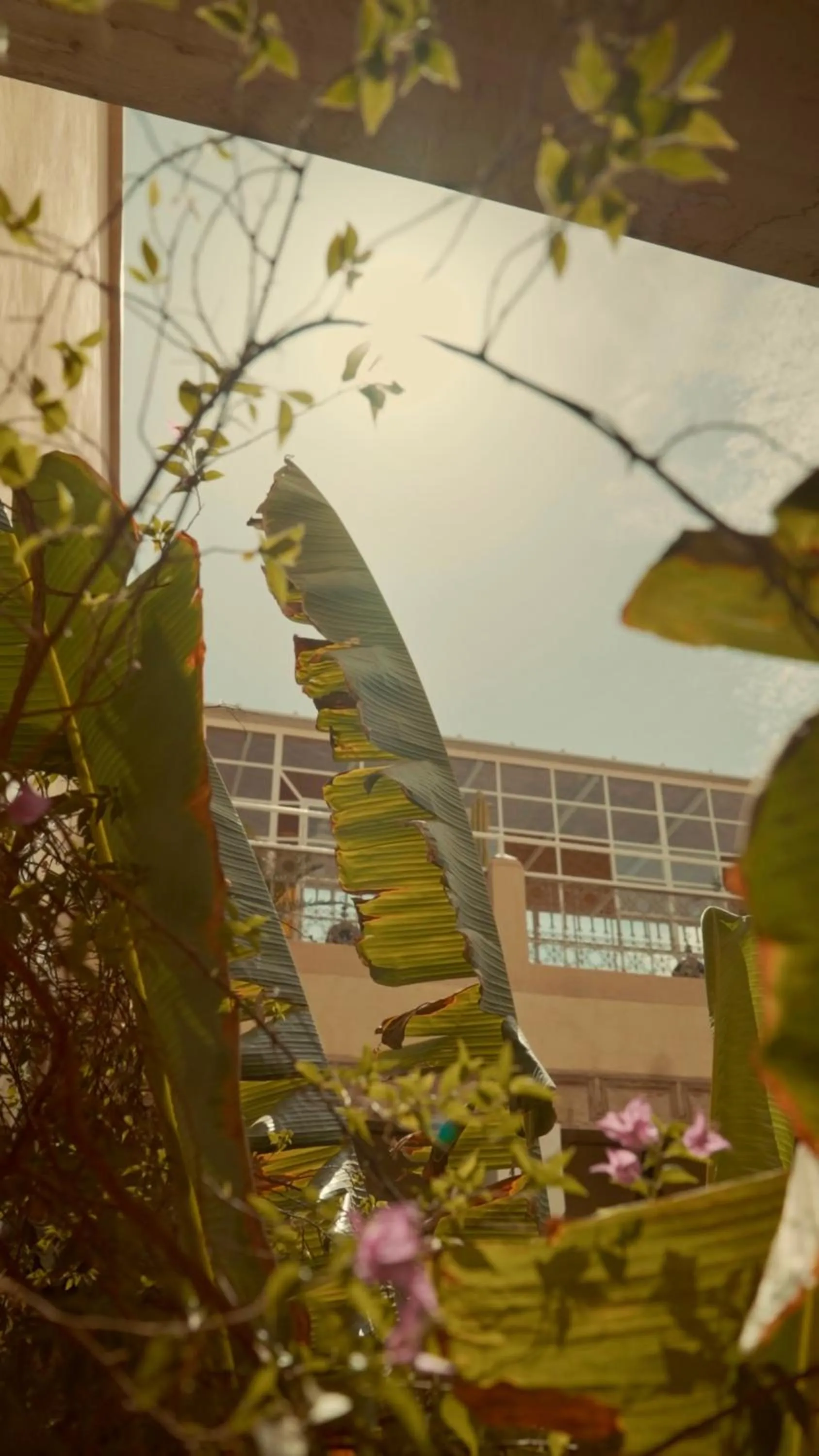 Balcony/Terrace in Riad Azoulay