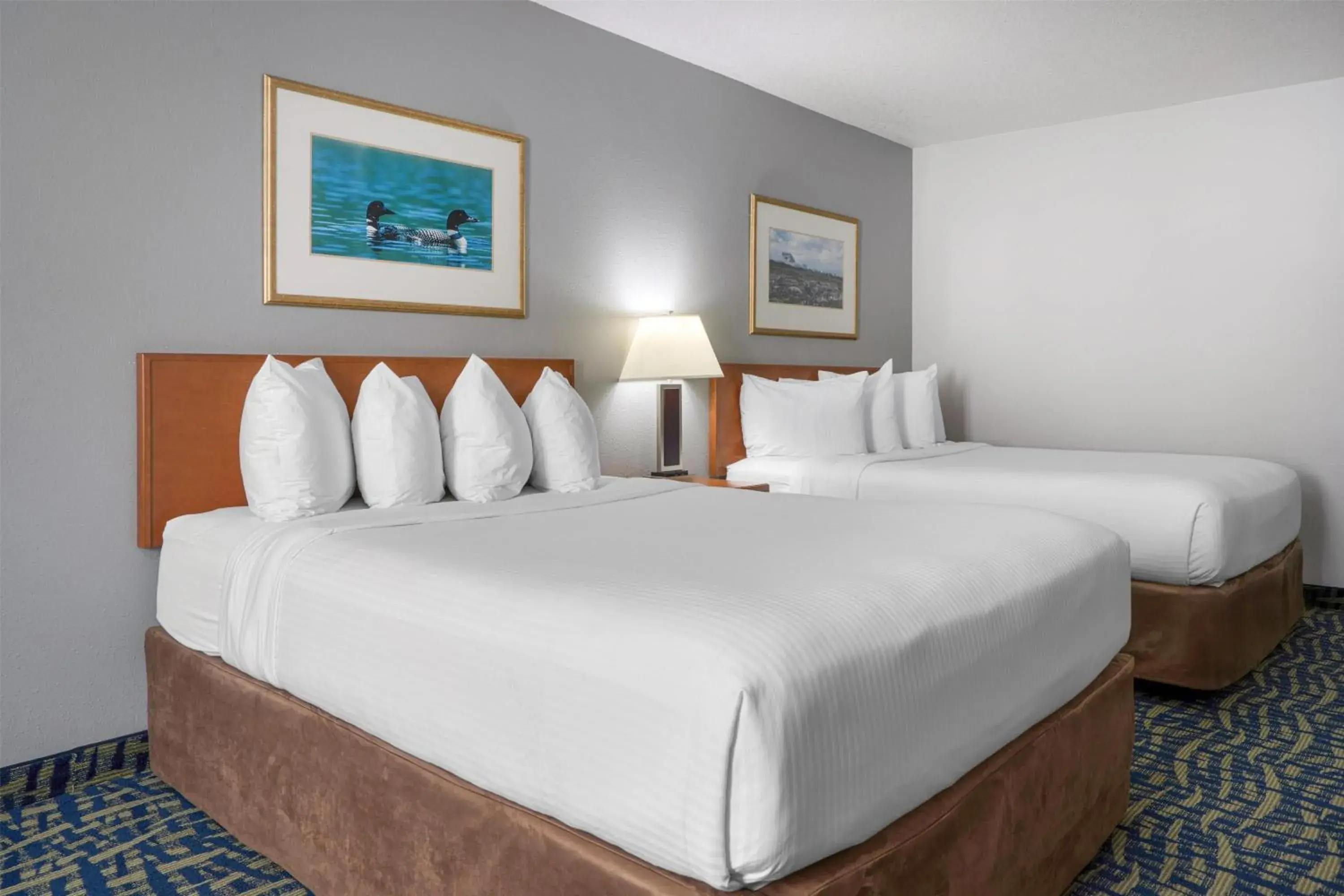 Bedroom, Bed in SureStay Plus Hotel by Best Western Lethbridge Bedroom, Bed in SureStay Plus Hotel by Best Western Lethbridge