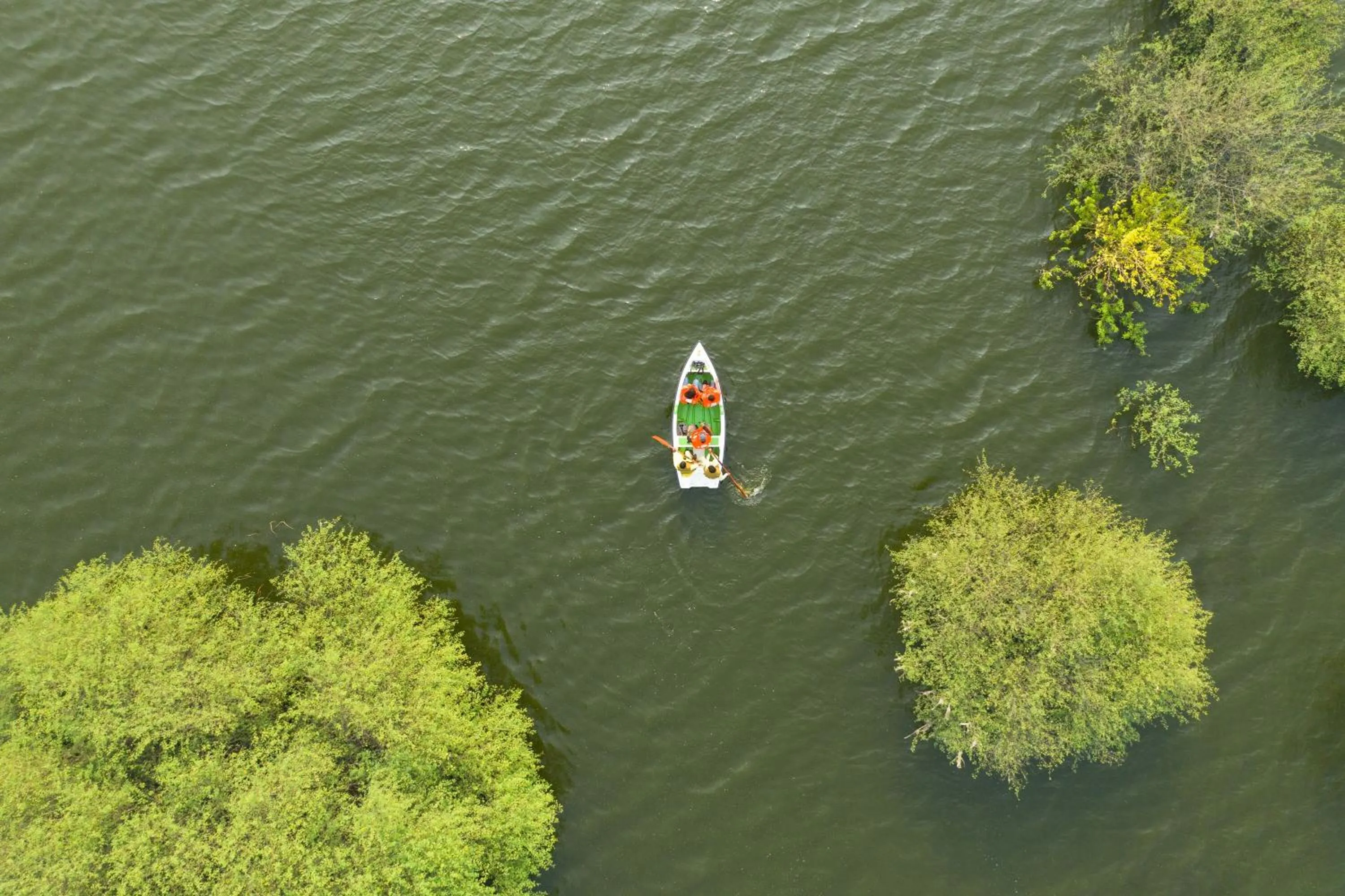 Activities in RAAS Chhatrasagar, Nimaj, District Pali