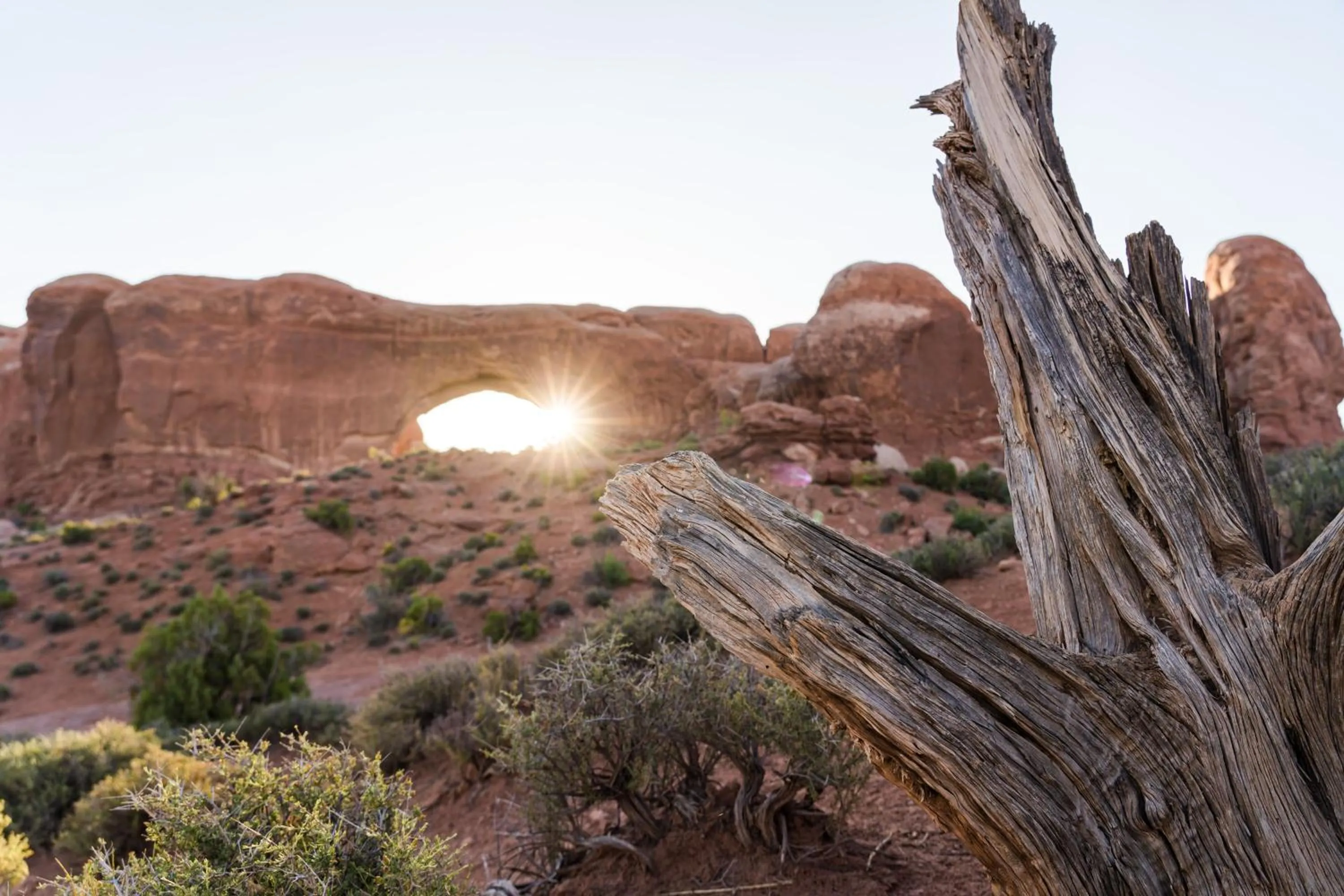 Natural landscape in Under Canvas Moab