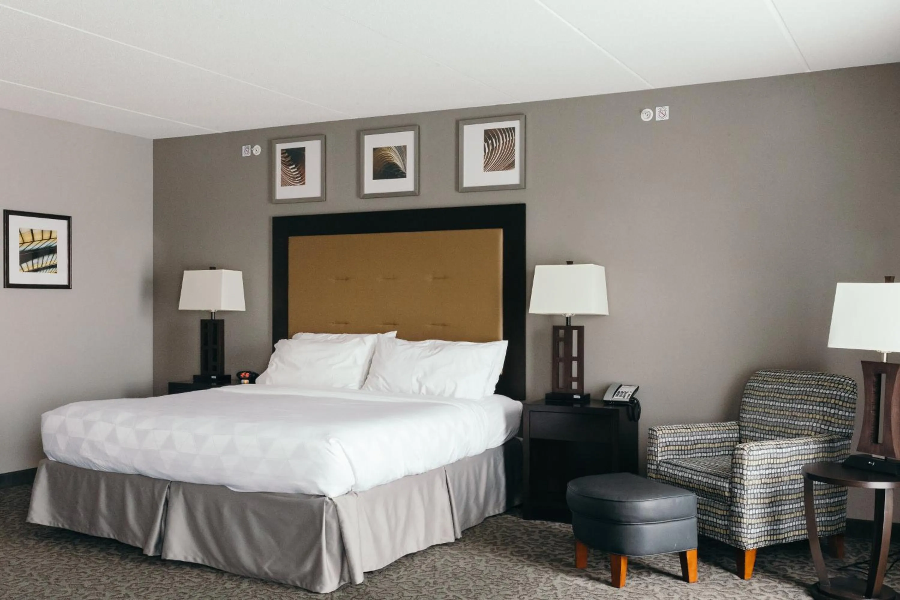 Photo of the whole room, Bed in Holiday Inn and Suites East Peoria by IHG