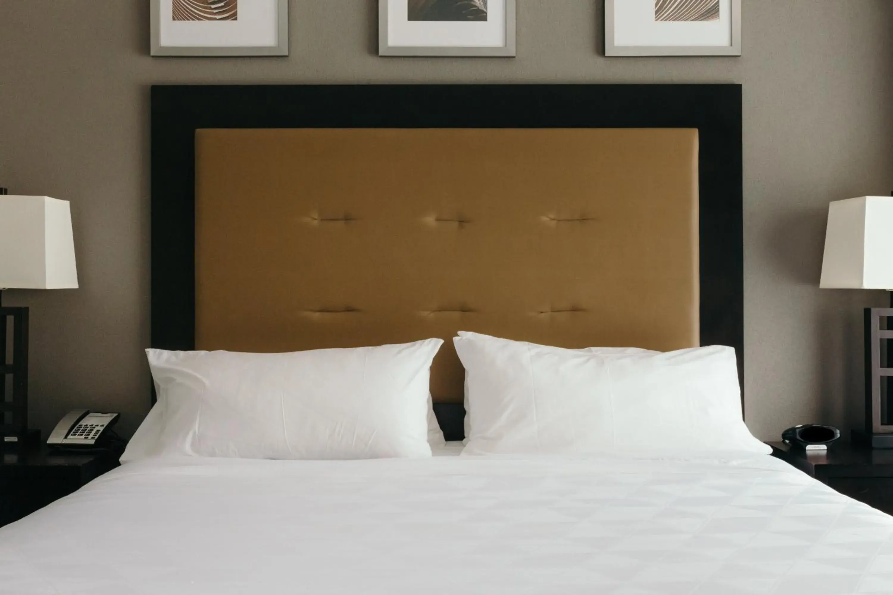 Junior King Suite in Holiday Inn and Suites East Peoria by IHG Junior King Suite in Holiday Inn and Suites East Peoria by IHG