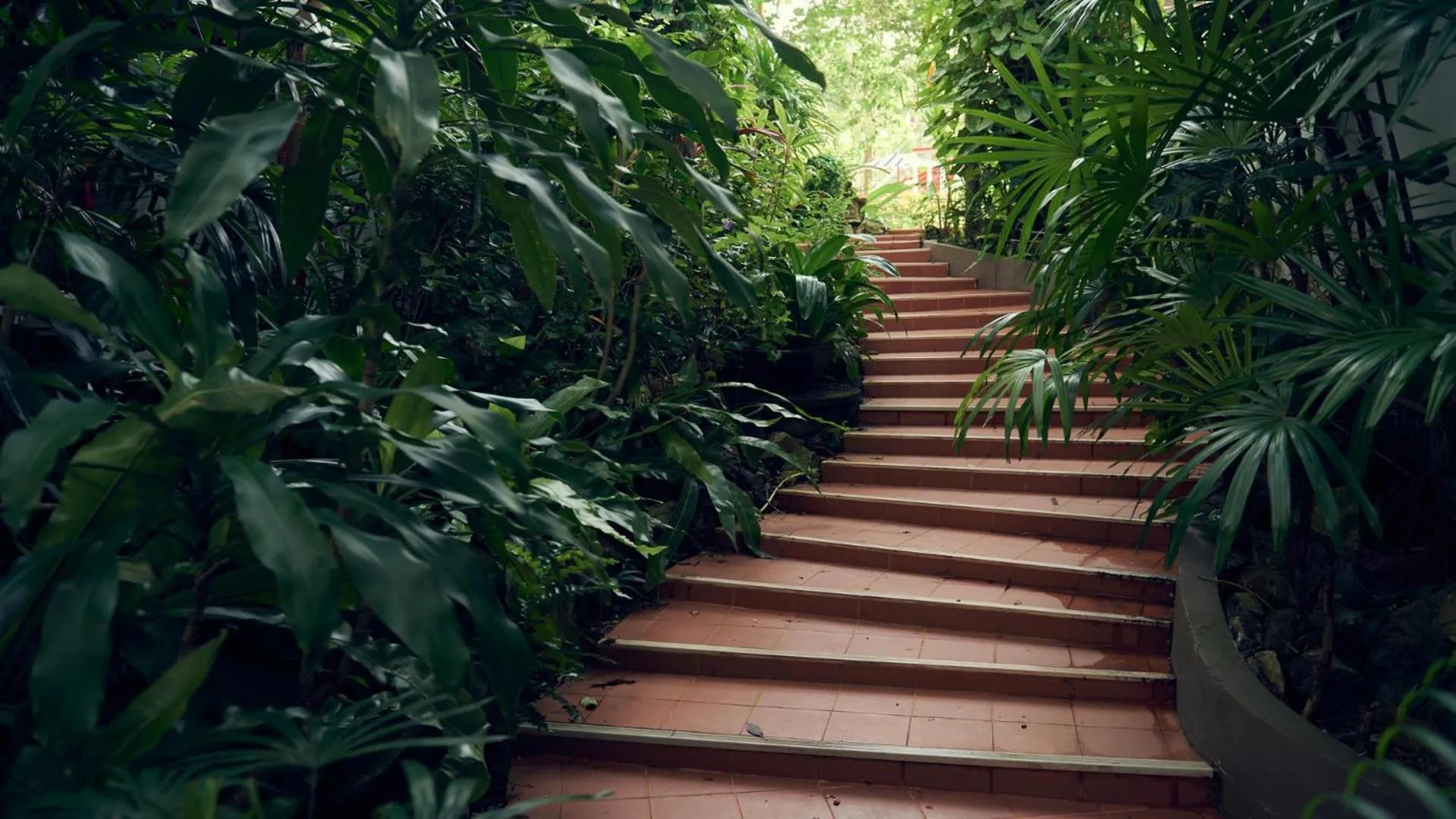 Garden in Chada Thai Village