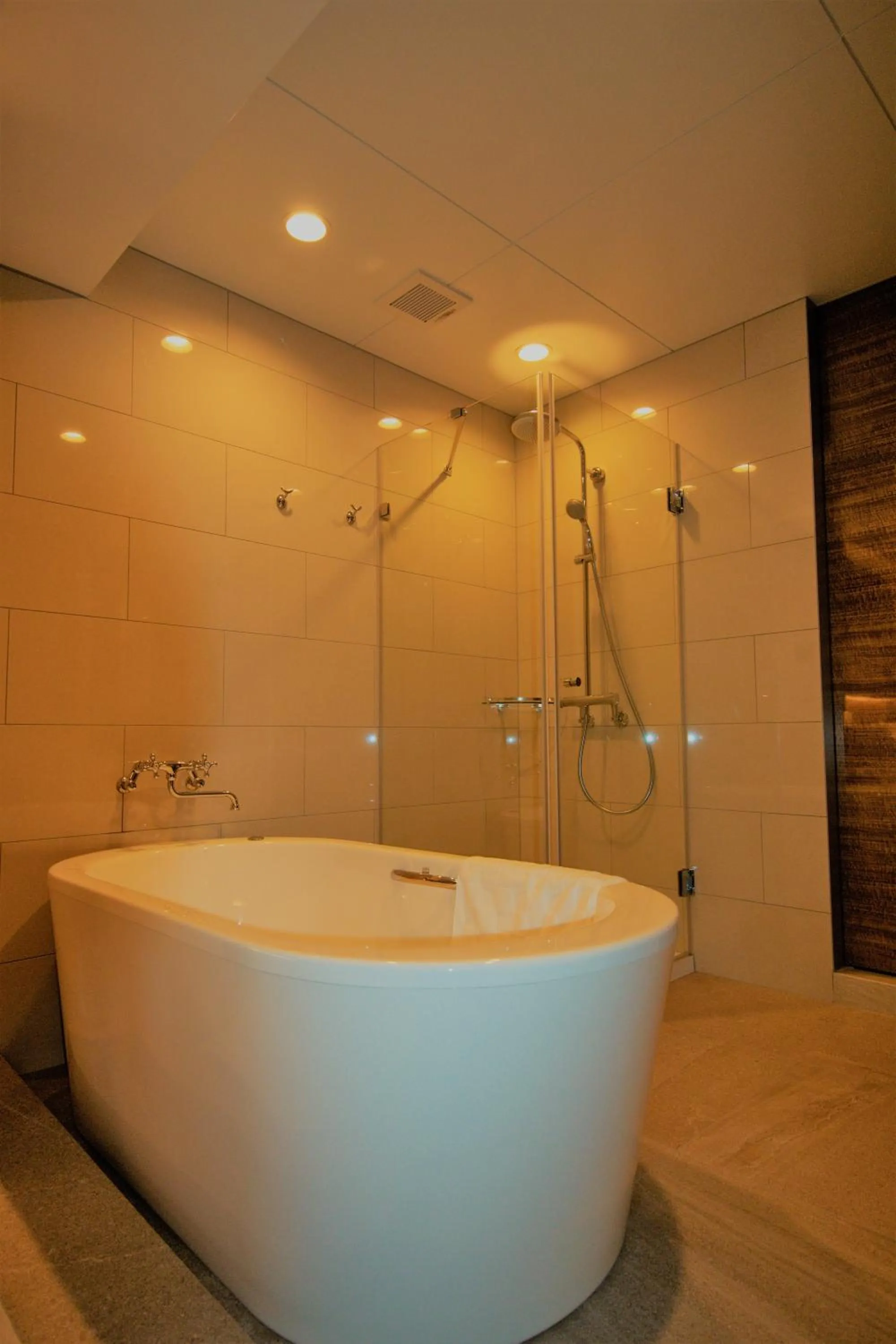 Shower in HOTEL Viviana