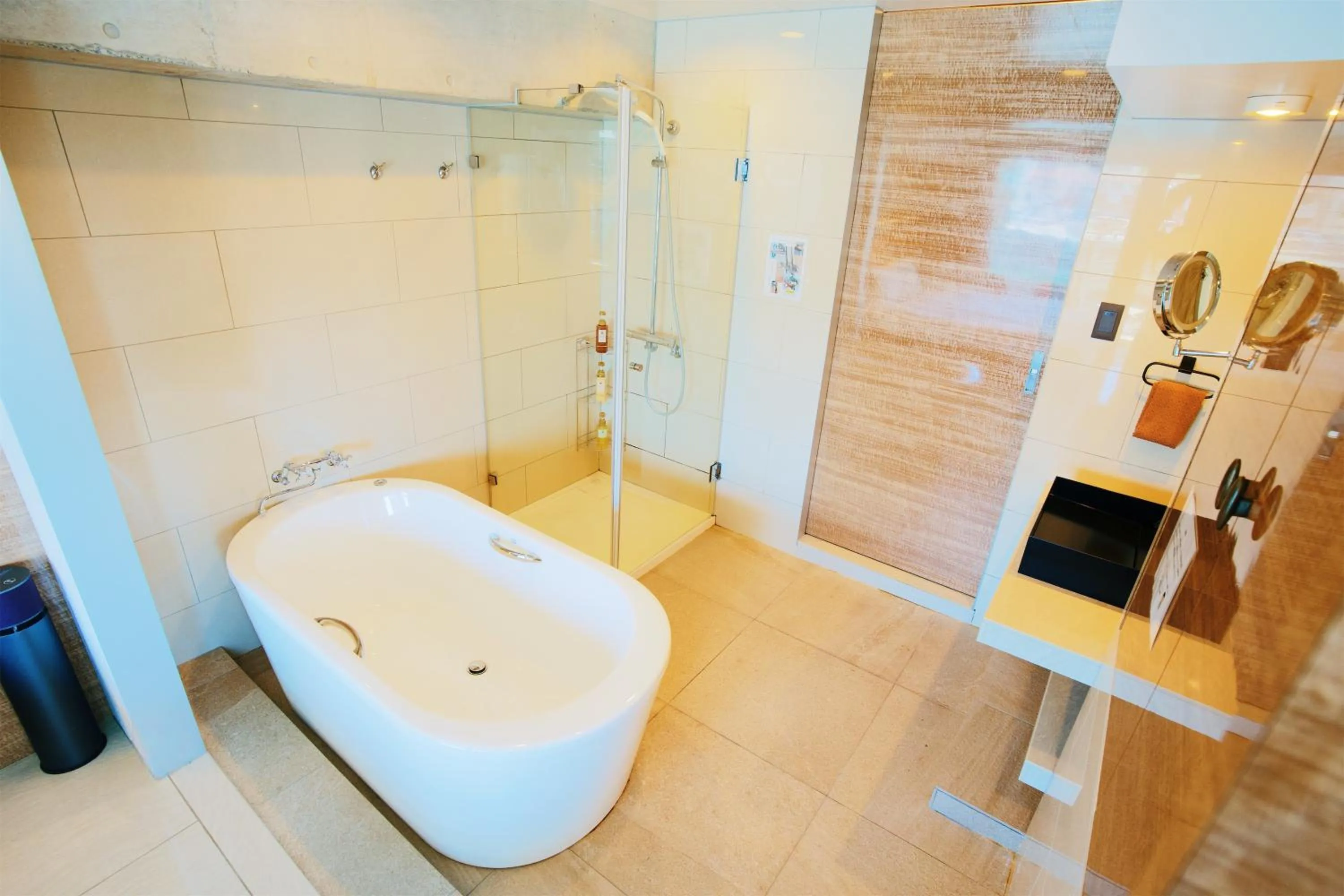 Shower in HOTEL Viviana