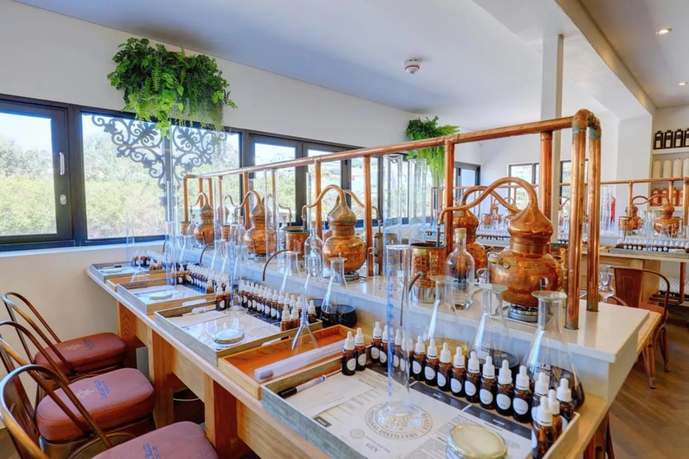 Activities in Protea Hotel by Marriott Mossel Bay